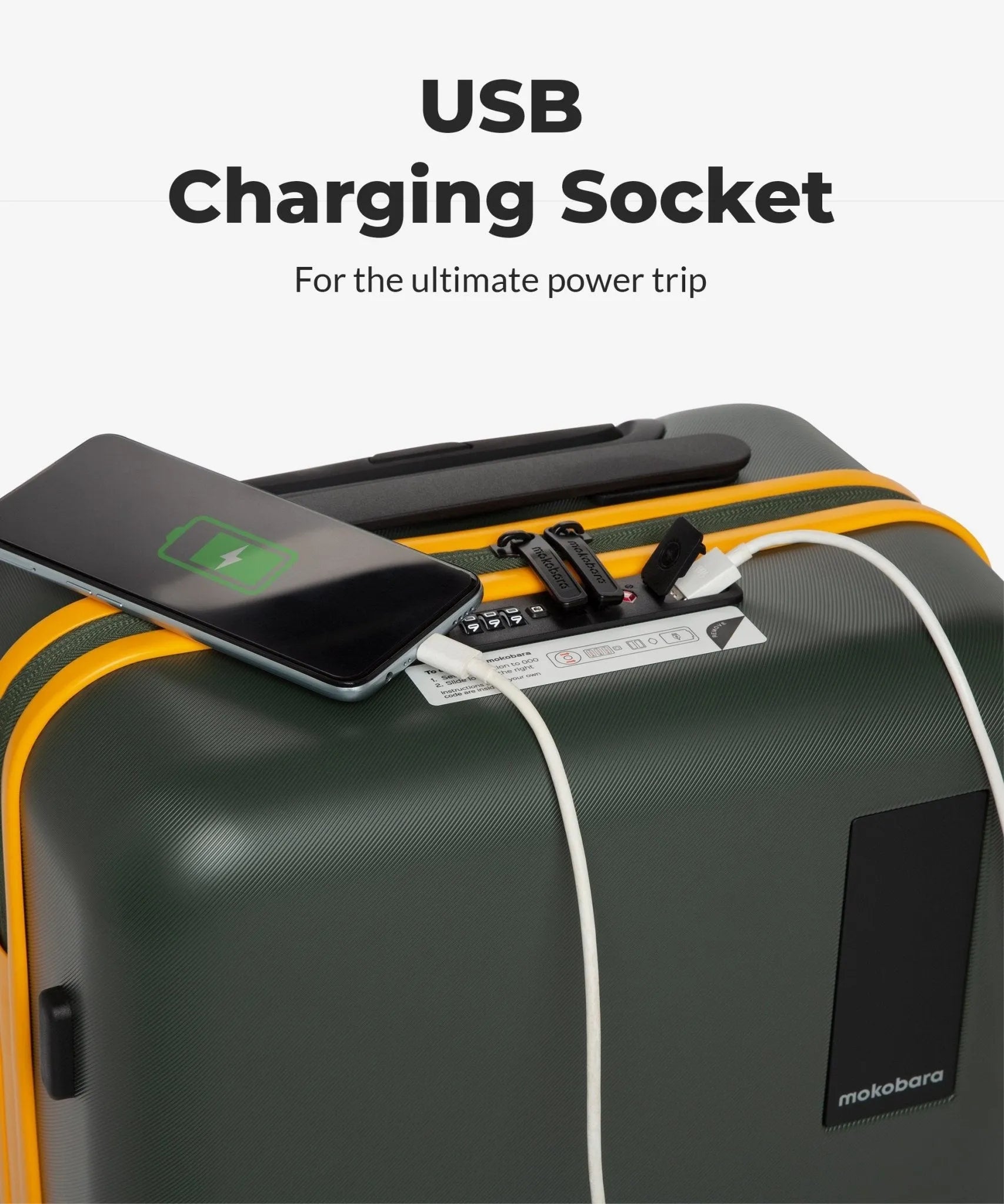 Color_Forest Sunray (Limited Edition) | The Cabin Luggage