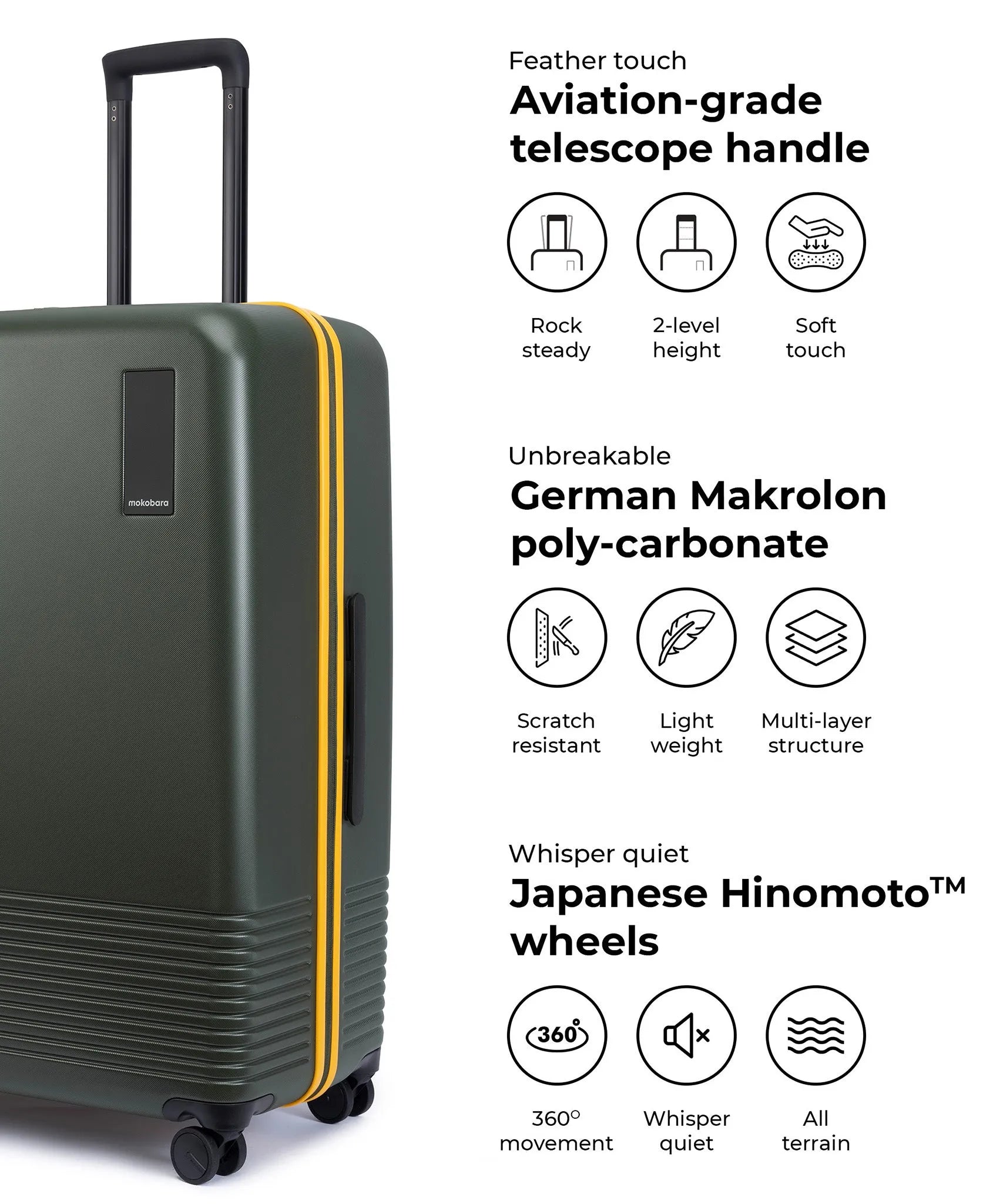 Colour_Forest Sunray (Limited Edition) | The Check-in Large