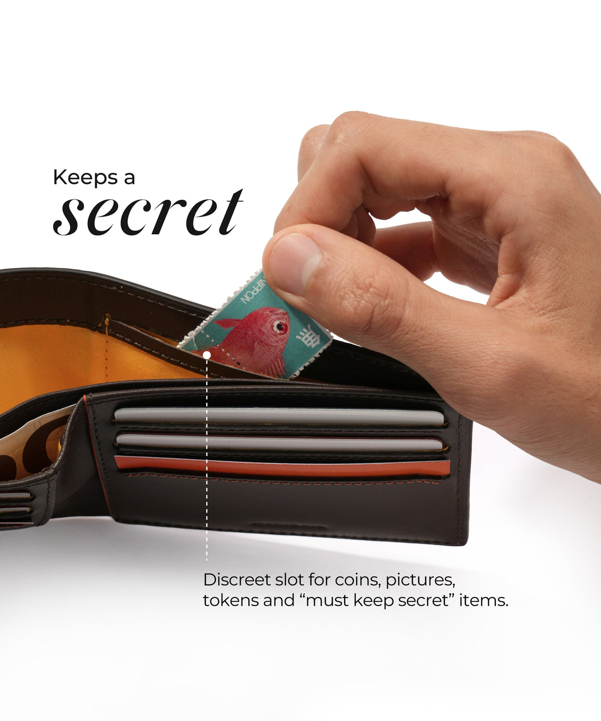 Color_ Ka Ching wallet | Bifold wallet