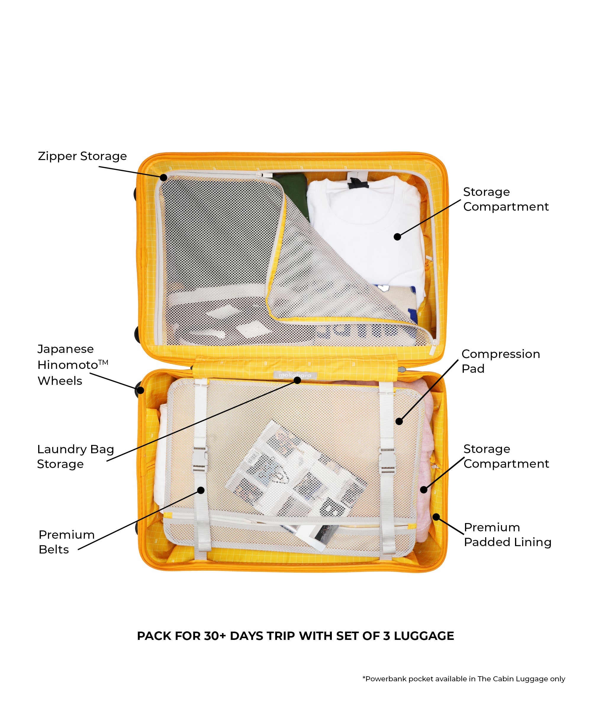 Color_Forest Sunray (Limited Edition) | Set of 3 Luggage