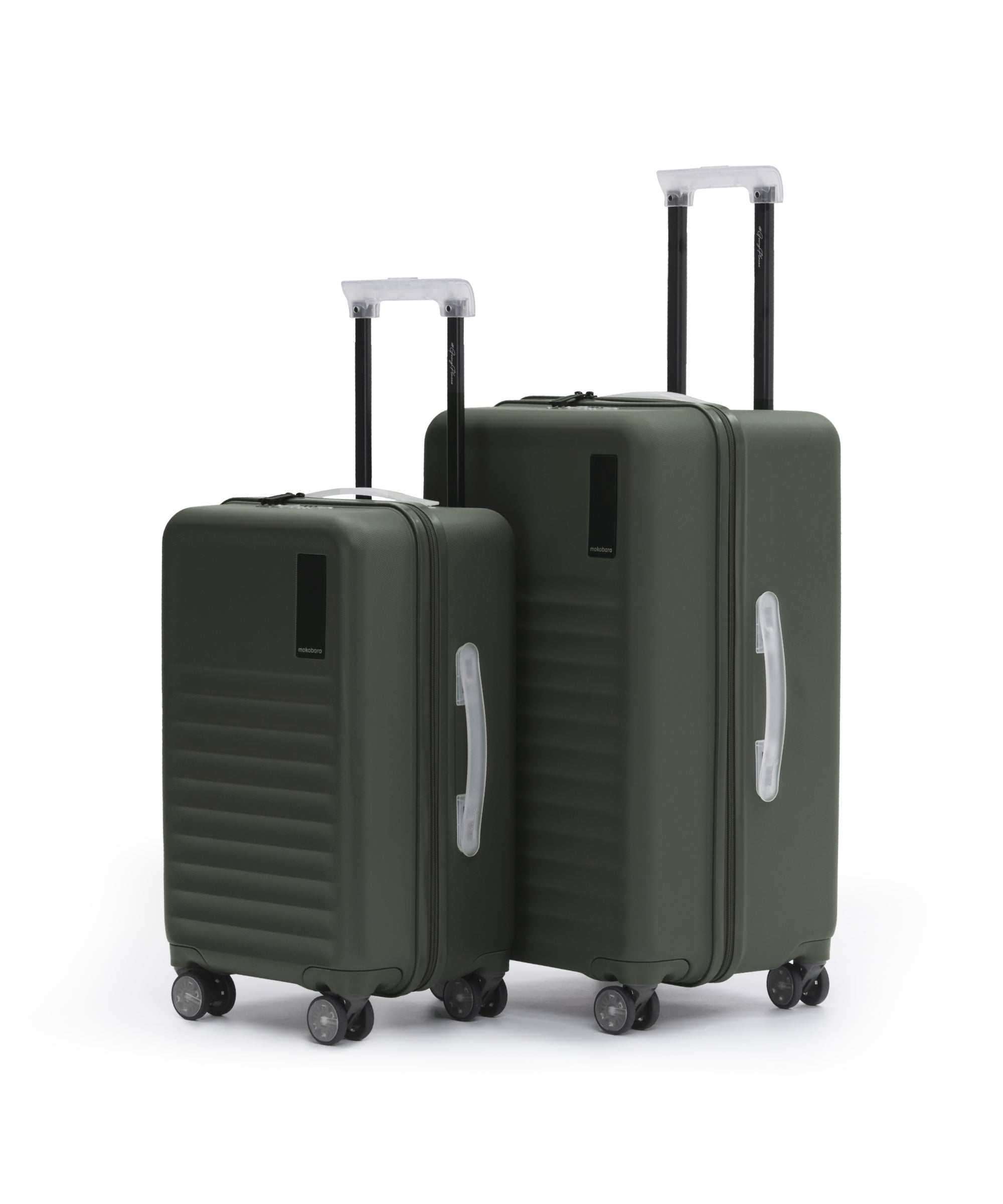 Color_Homegrown | The Aisle Trunk set of 2