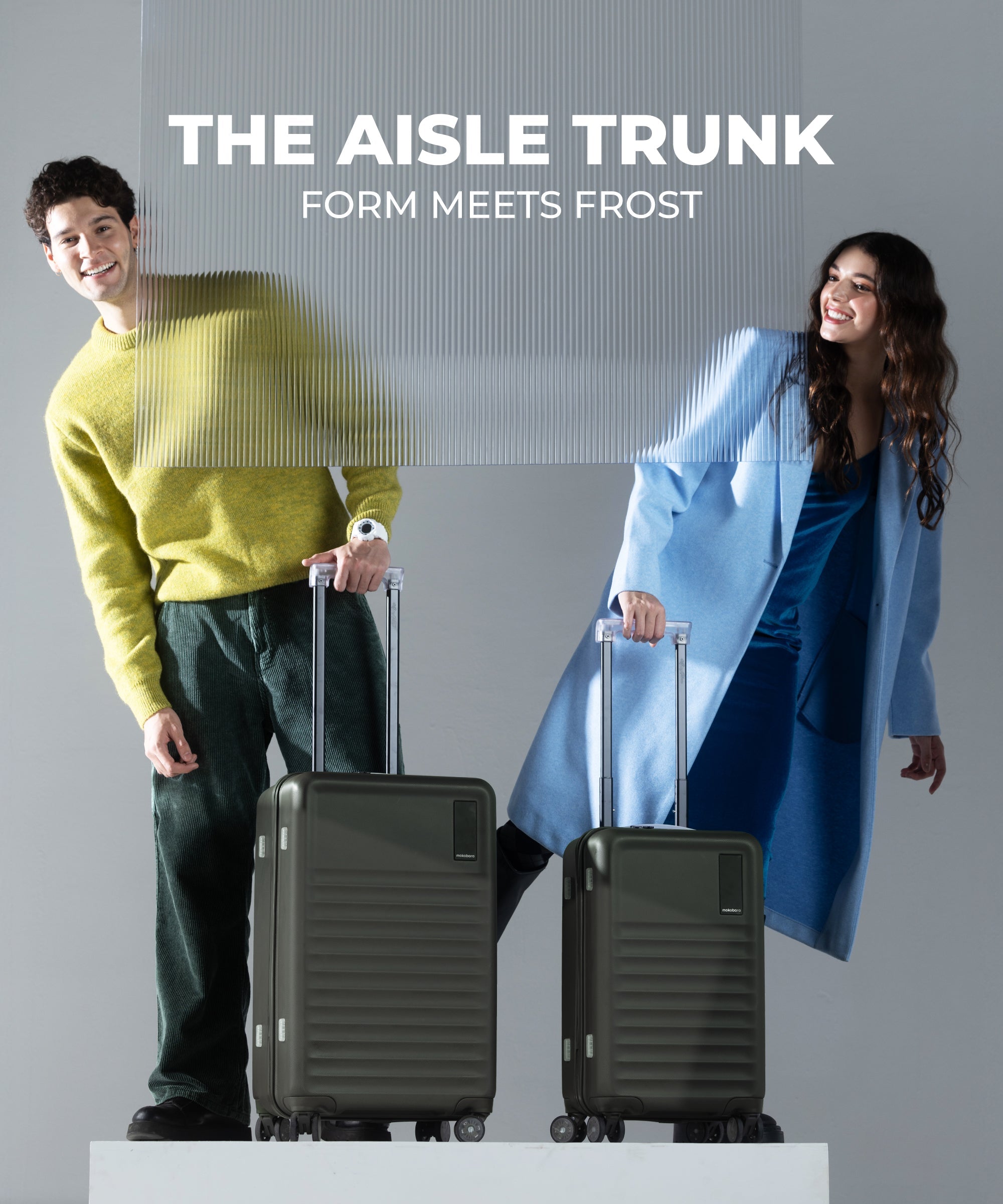 Color_Homegrown | The Aisle Trunk set of 2