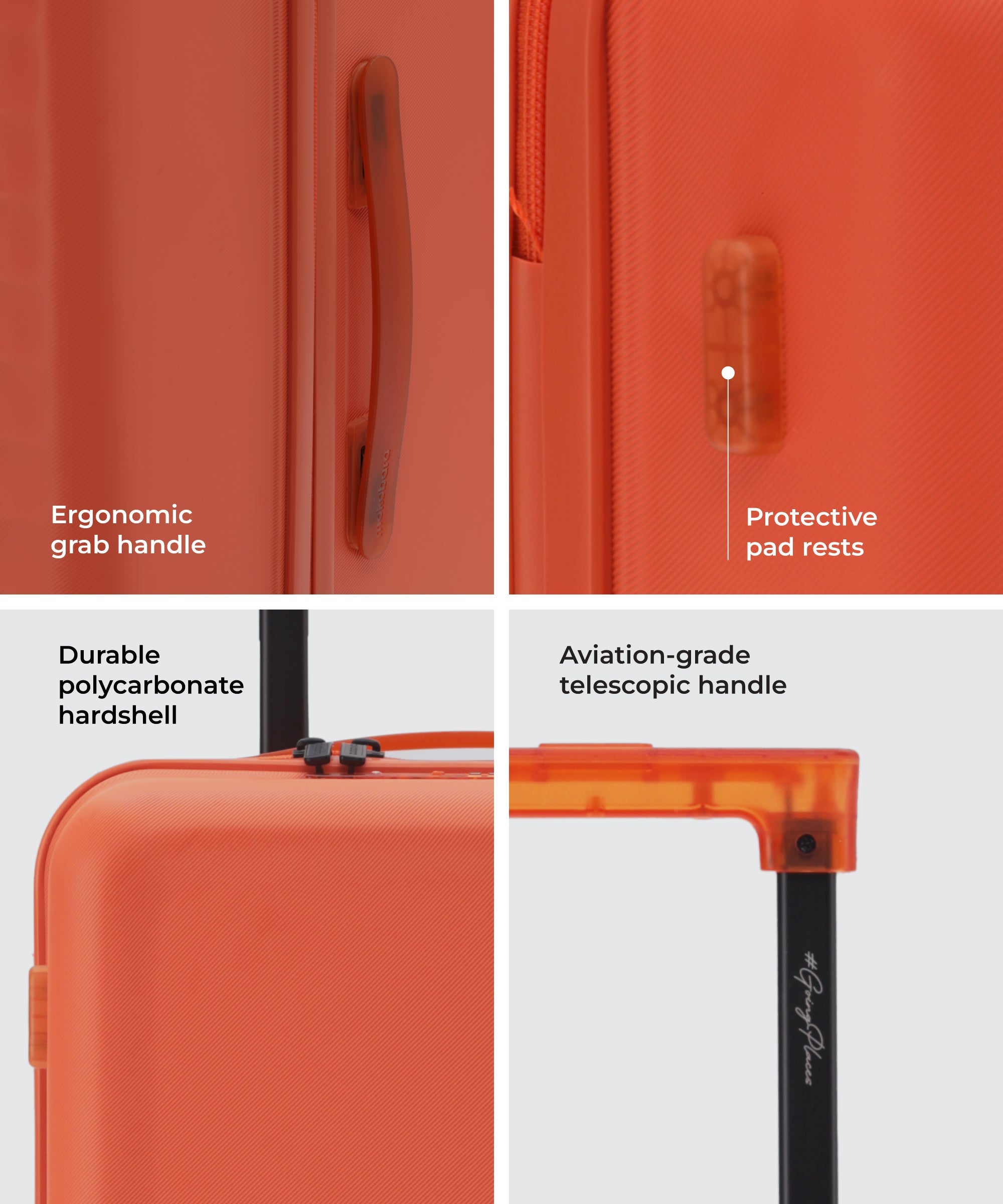 Color_Stardust | The Aisle Trunk - Check-in