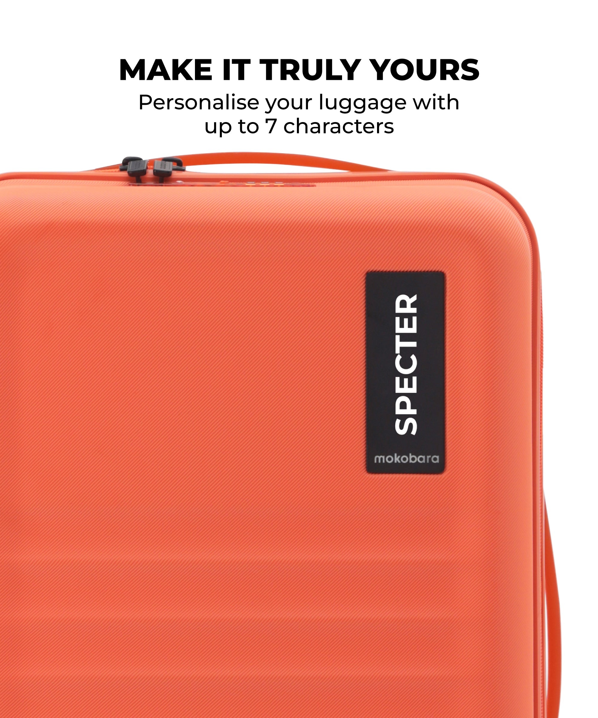 Color_Stardust | The Aisle Trunk - Check-in