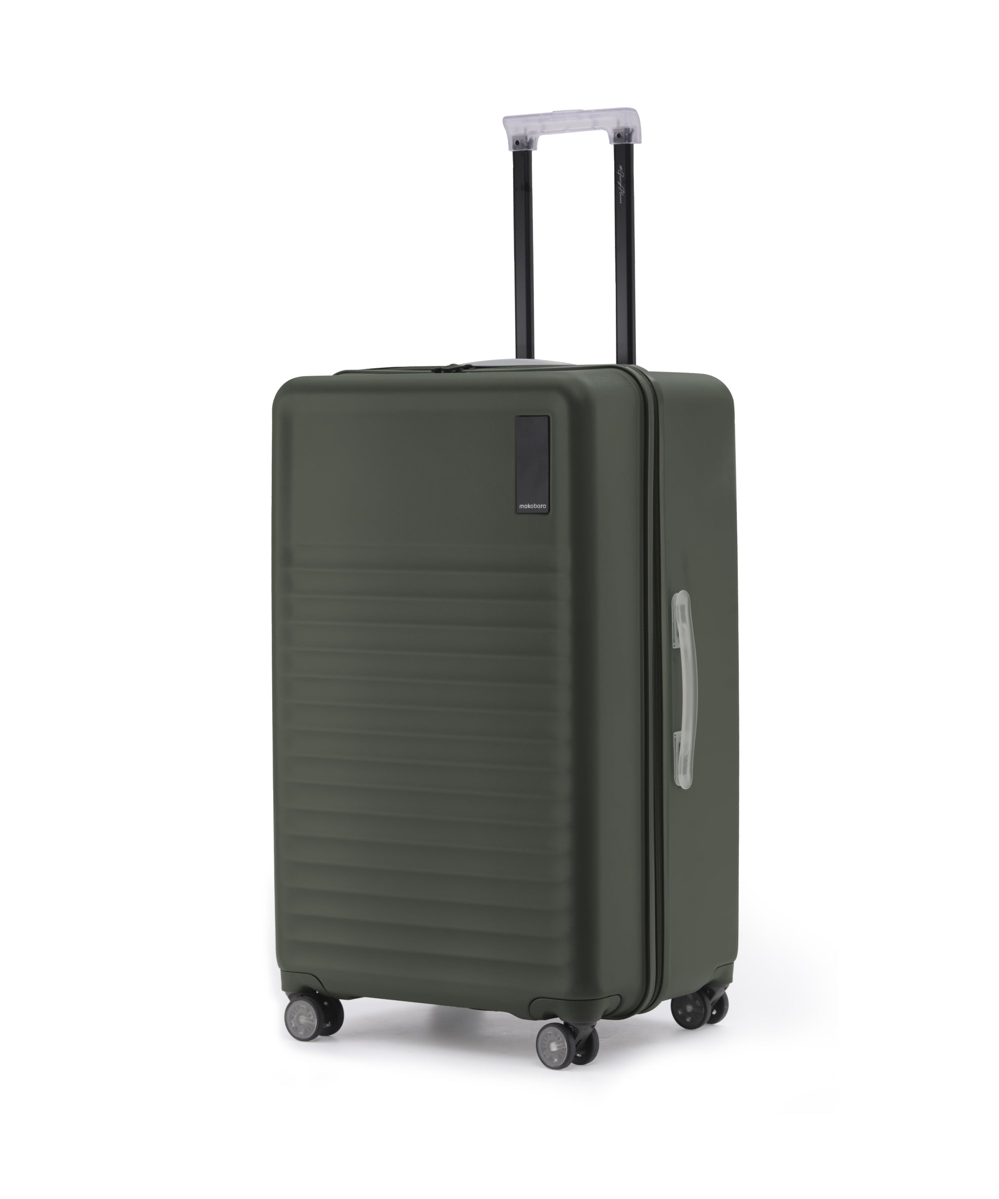 Color_ Homegrown | The Aisle Trunk - Large