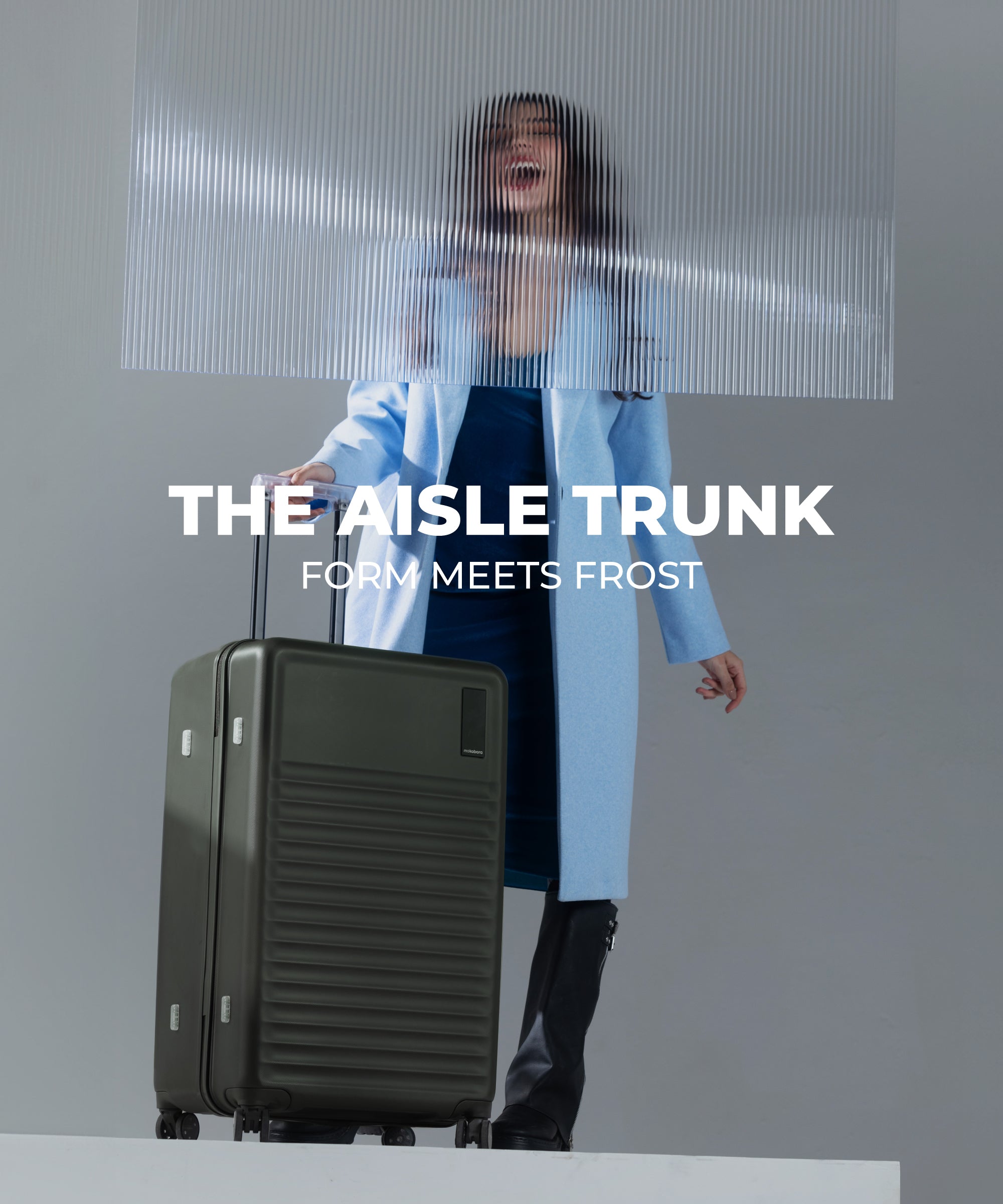 Color_ Homegrown | The Aisle Trunk - Large