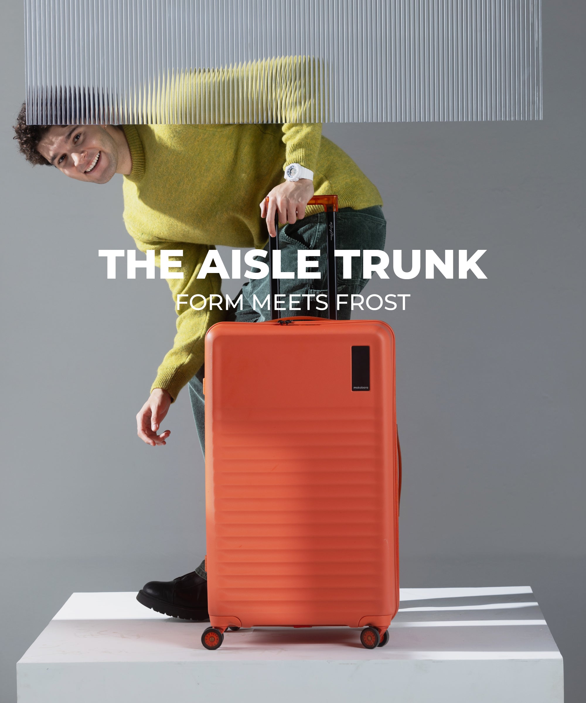 Color_Stardust | The Aisle trunk - check in large