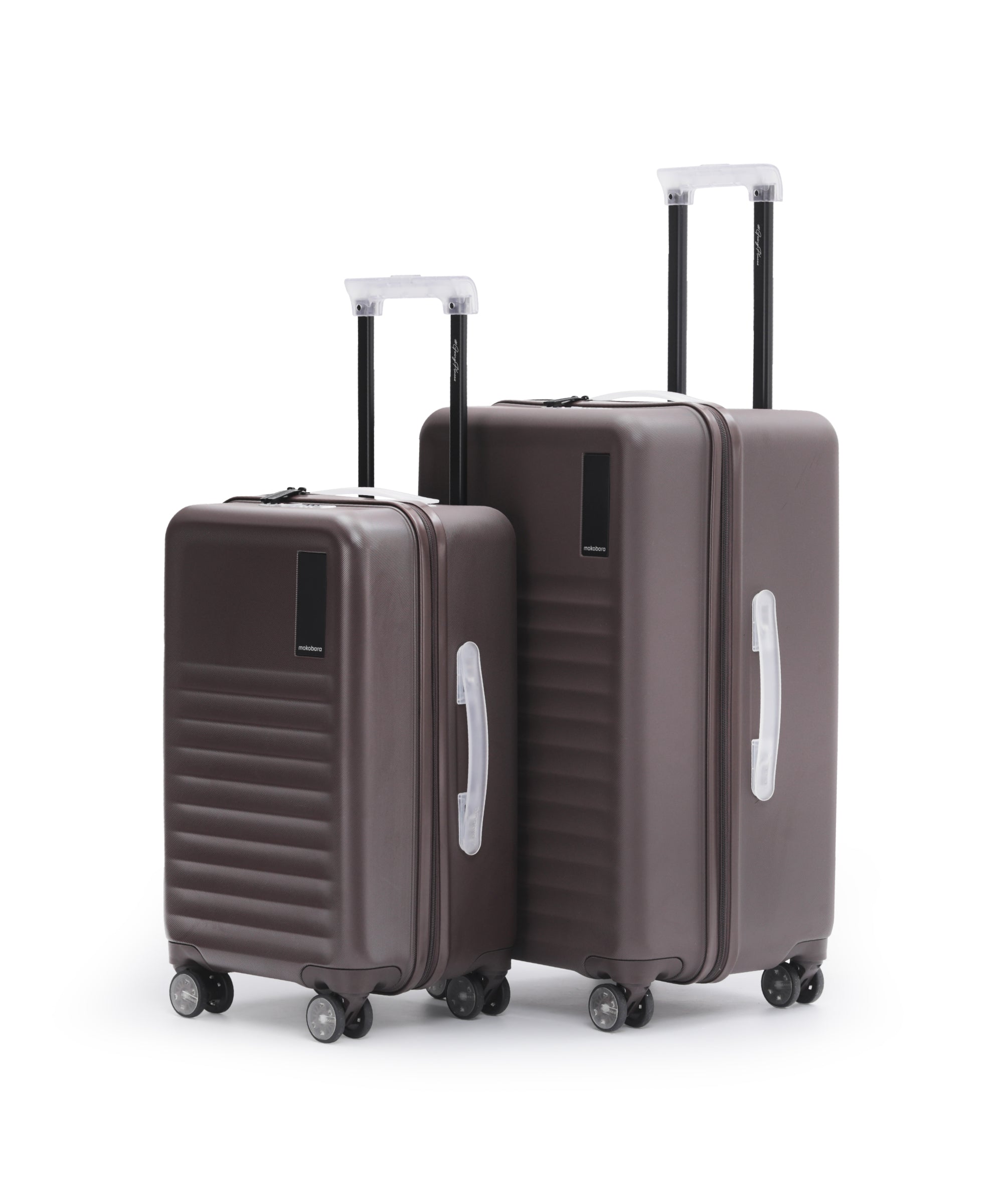 Color_Cool Beans | The Aisle Trunk set of 2