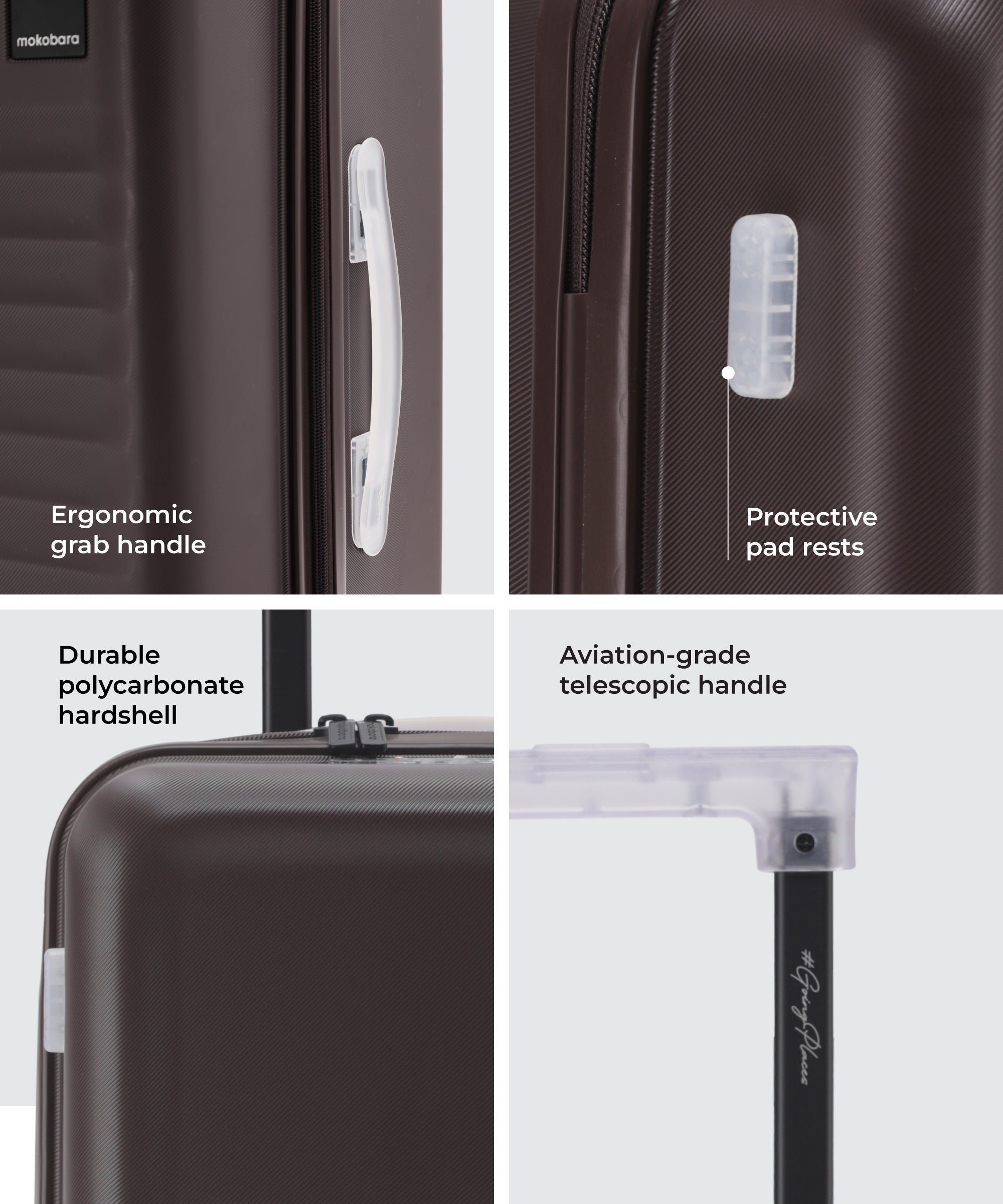 Color_Cool Beans | The Aisle Trunk set of 2