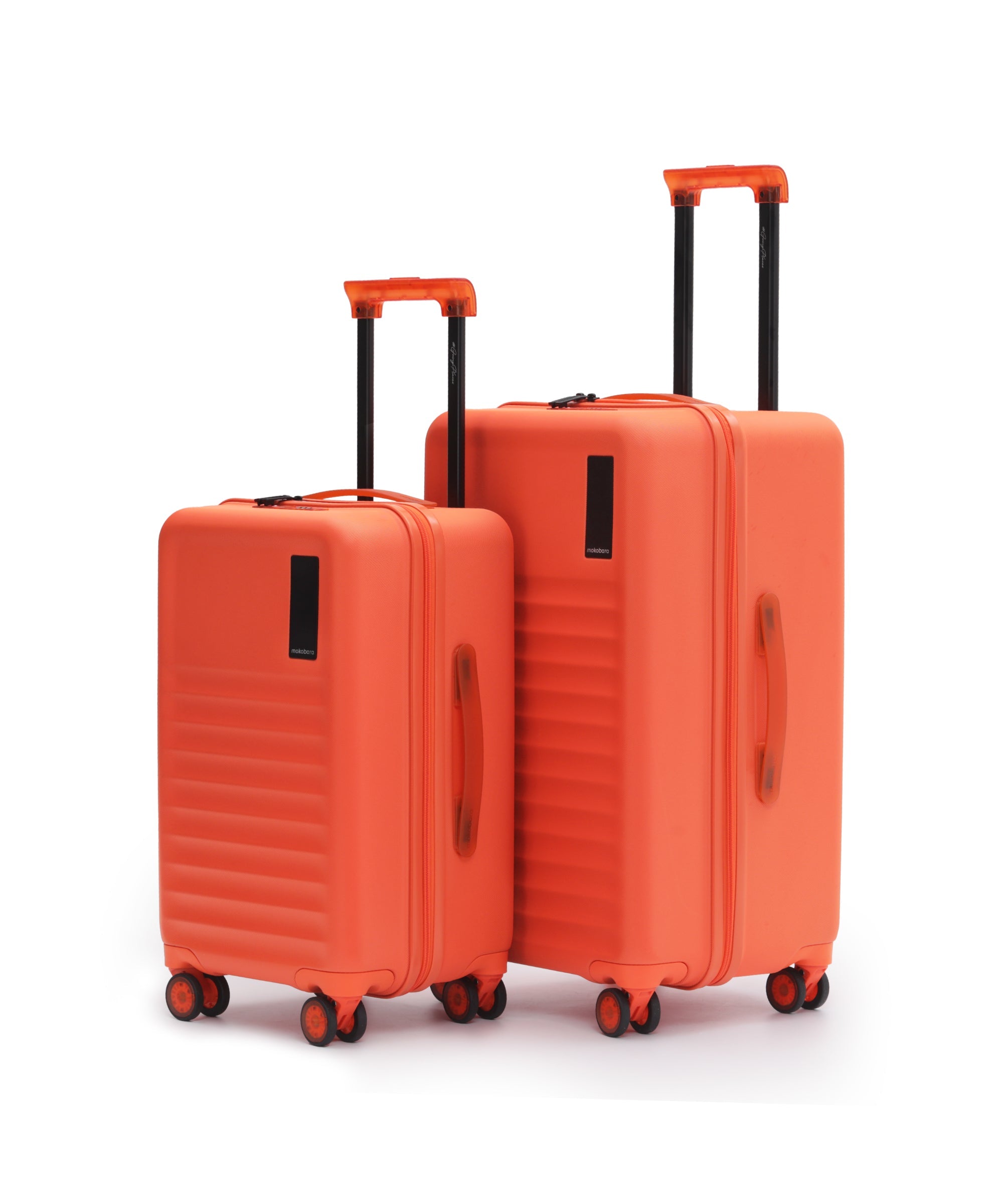 Color_Stardust | The Aisle Trunk set of 2