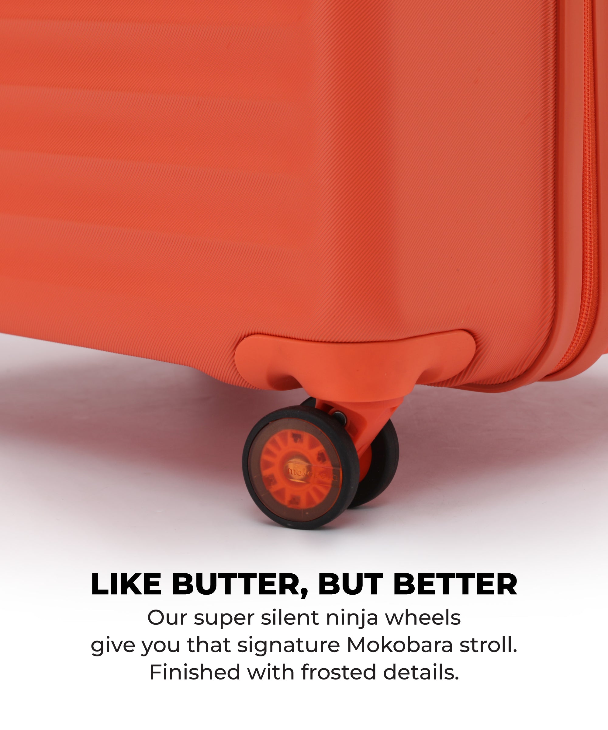 Color_Stardust | The Aisle Trunk set of 2