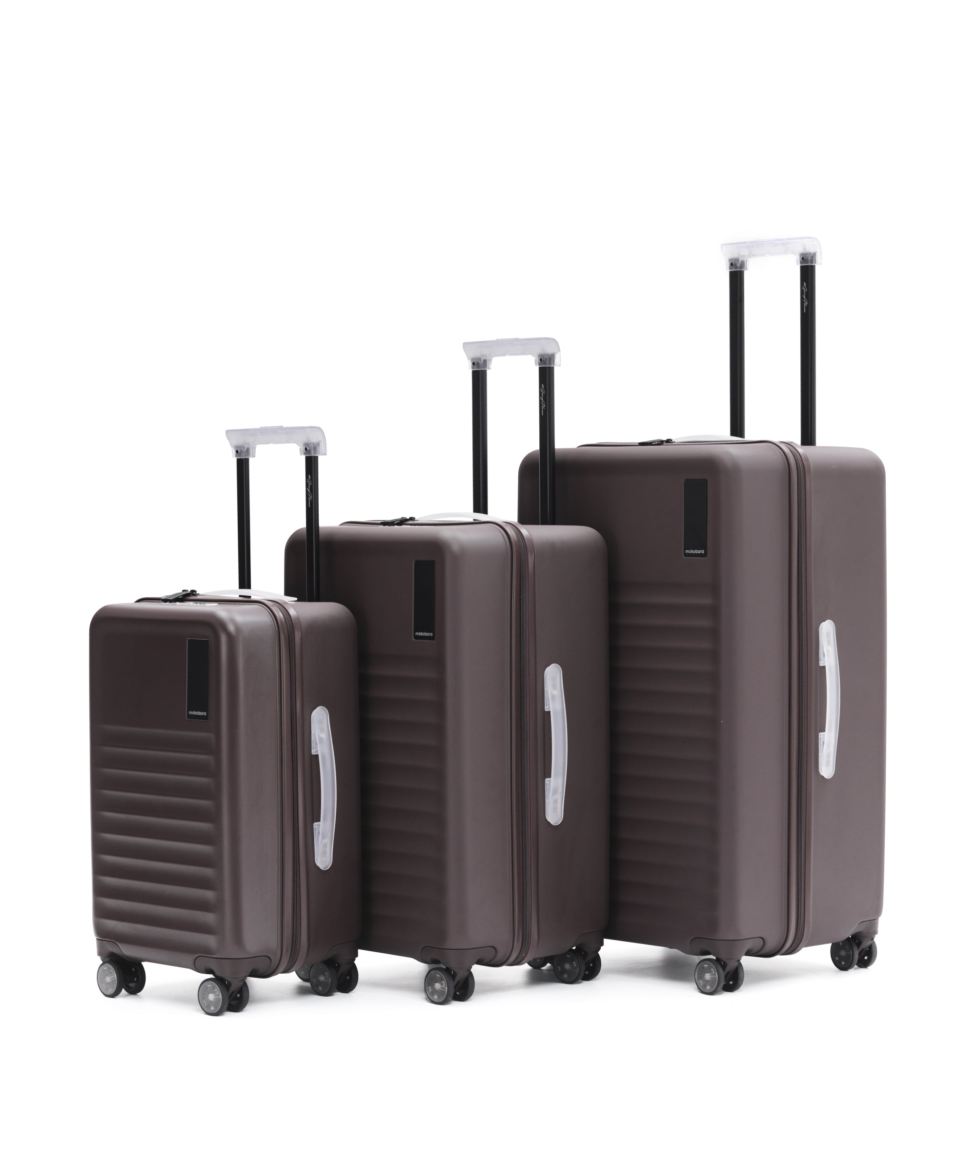 Color_Cool Beans | The Aisle Trunk set of 3