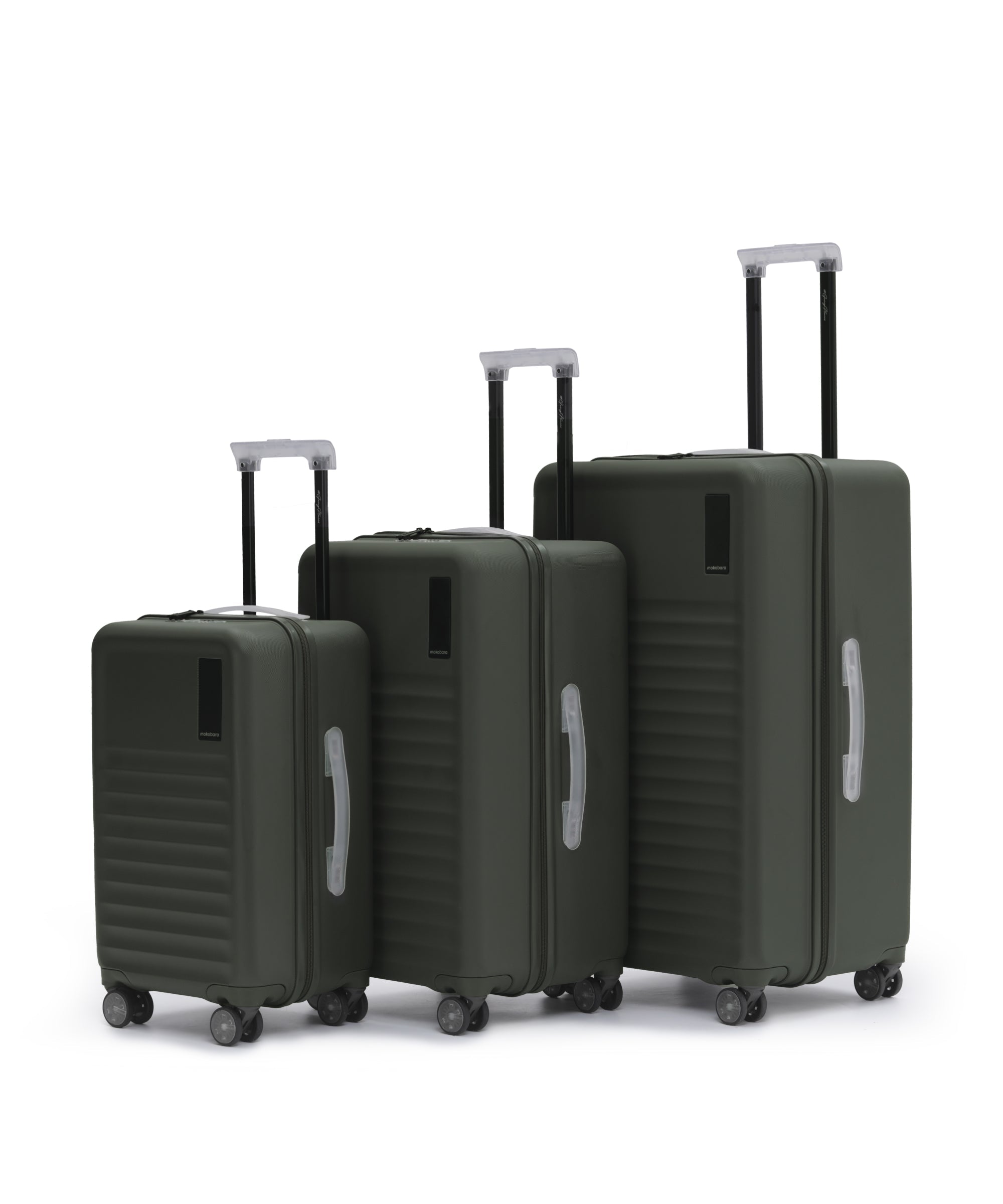 Color_Homegrown | The Aisle Trunk set of 3
