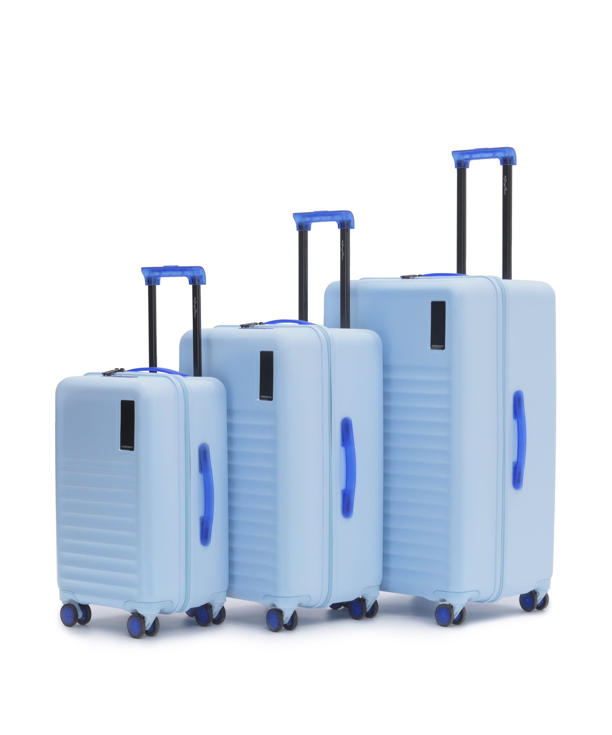 Color_Shy Blue | The Aisle Trunk set of 3