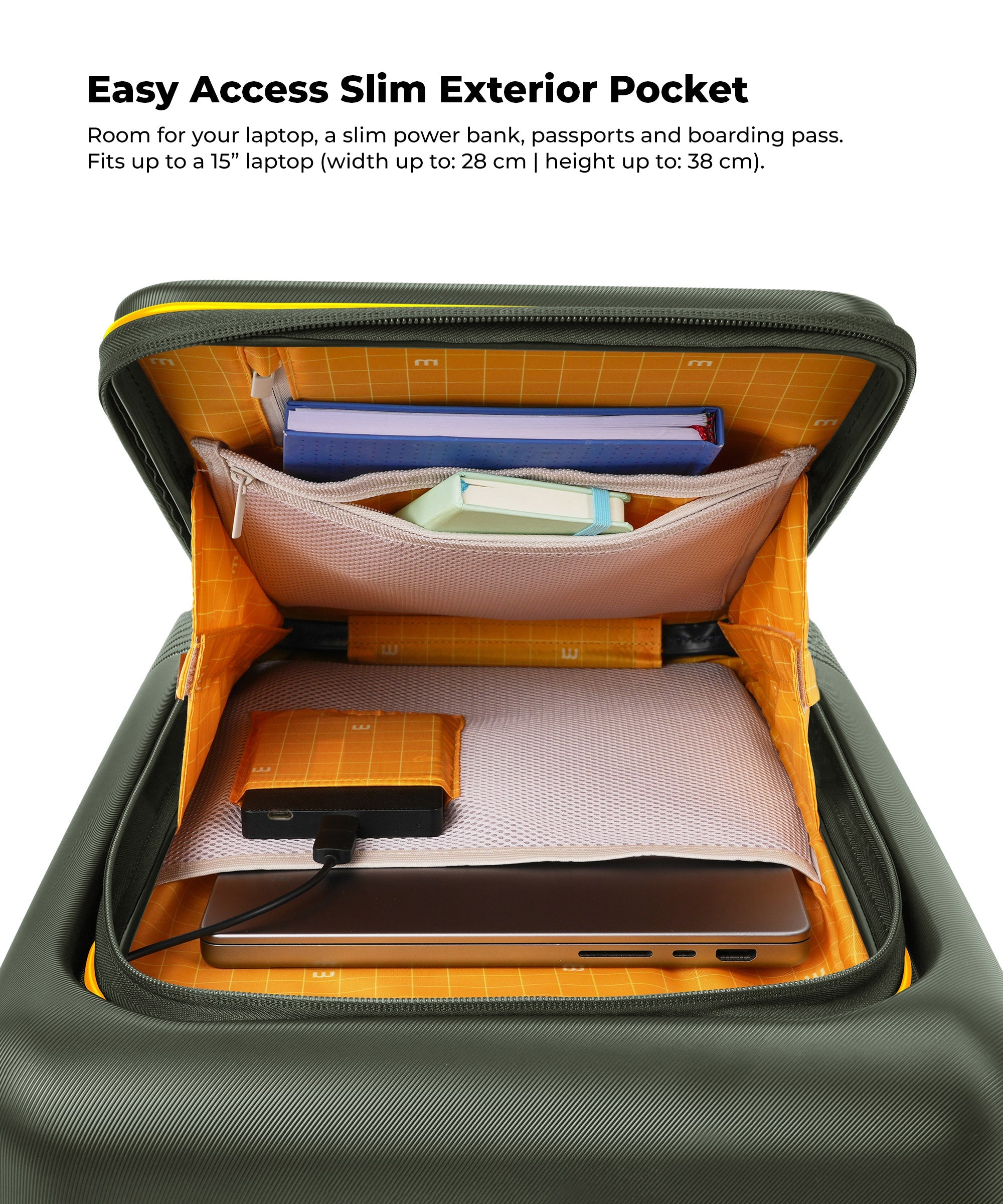 Color_Forest Sunray 2.0 (Limited Edition) | The Cabin Pro