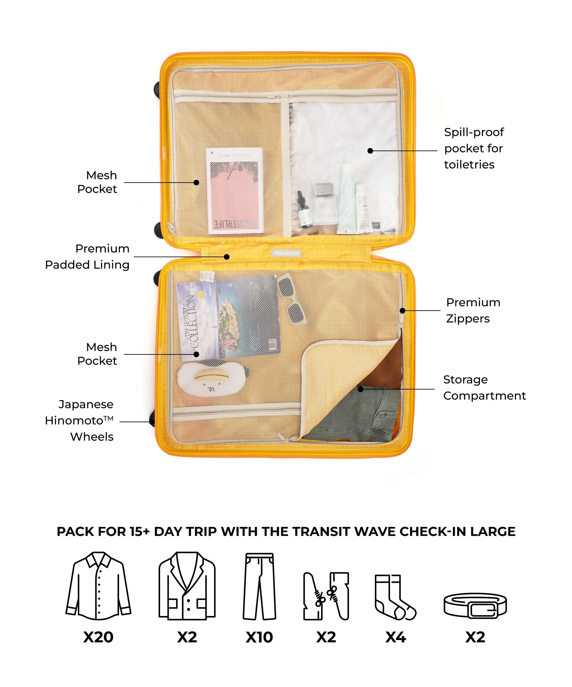 Color_Summer | The Transit Wave-Check-in Large