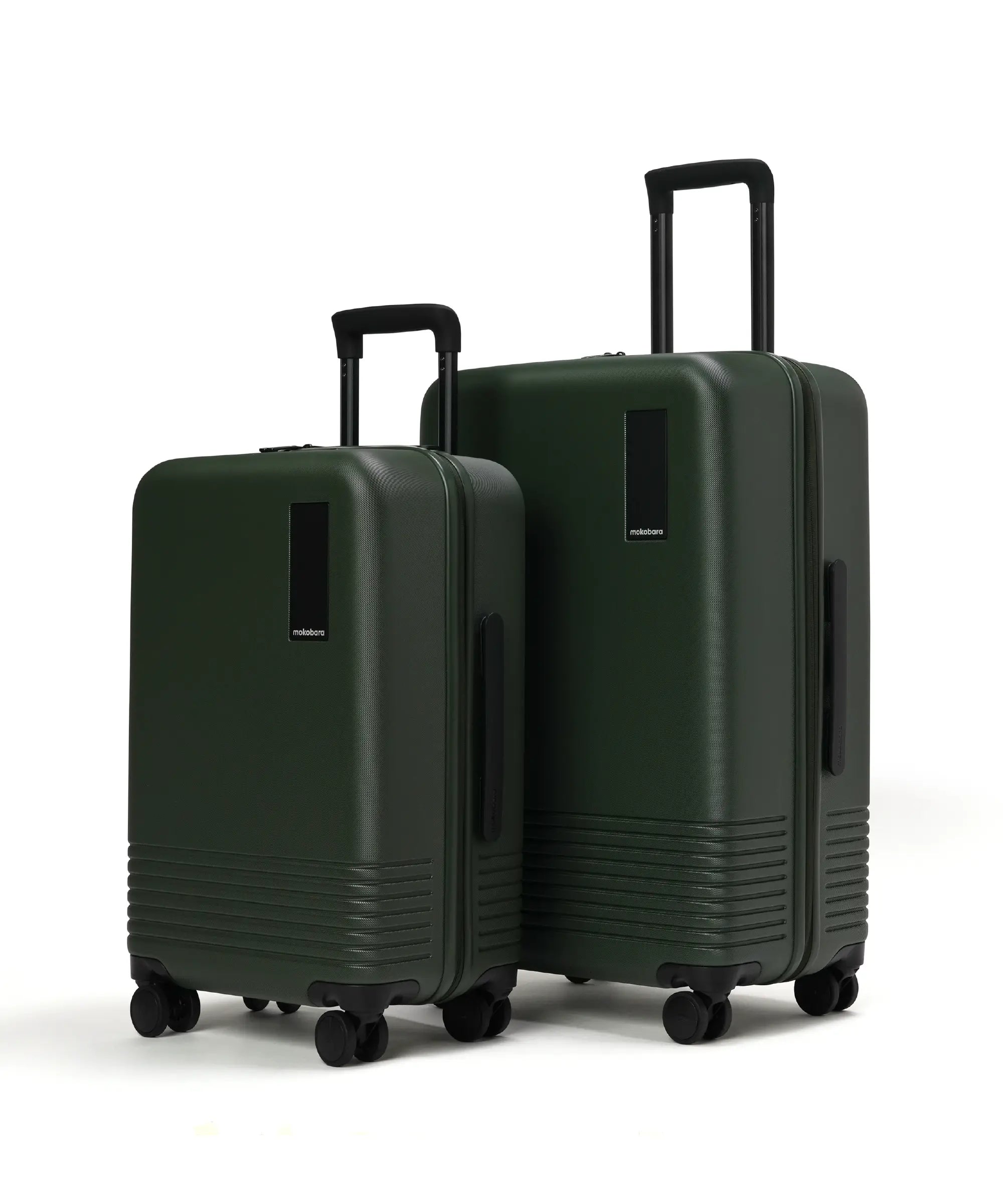 Color_Seeweed Green | Set of Two Luggage