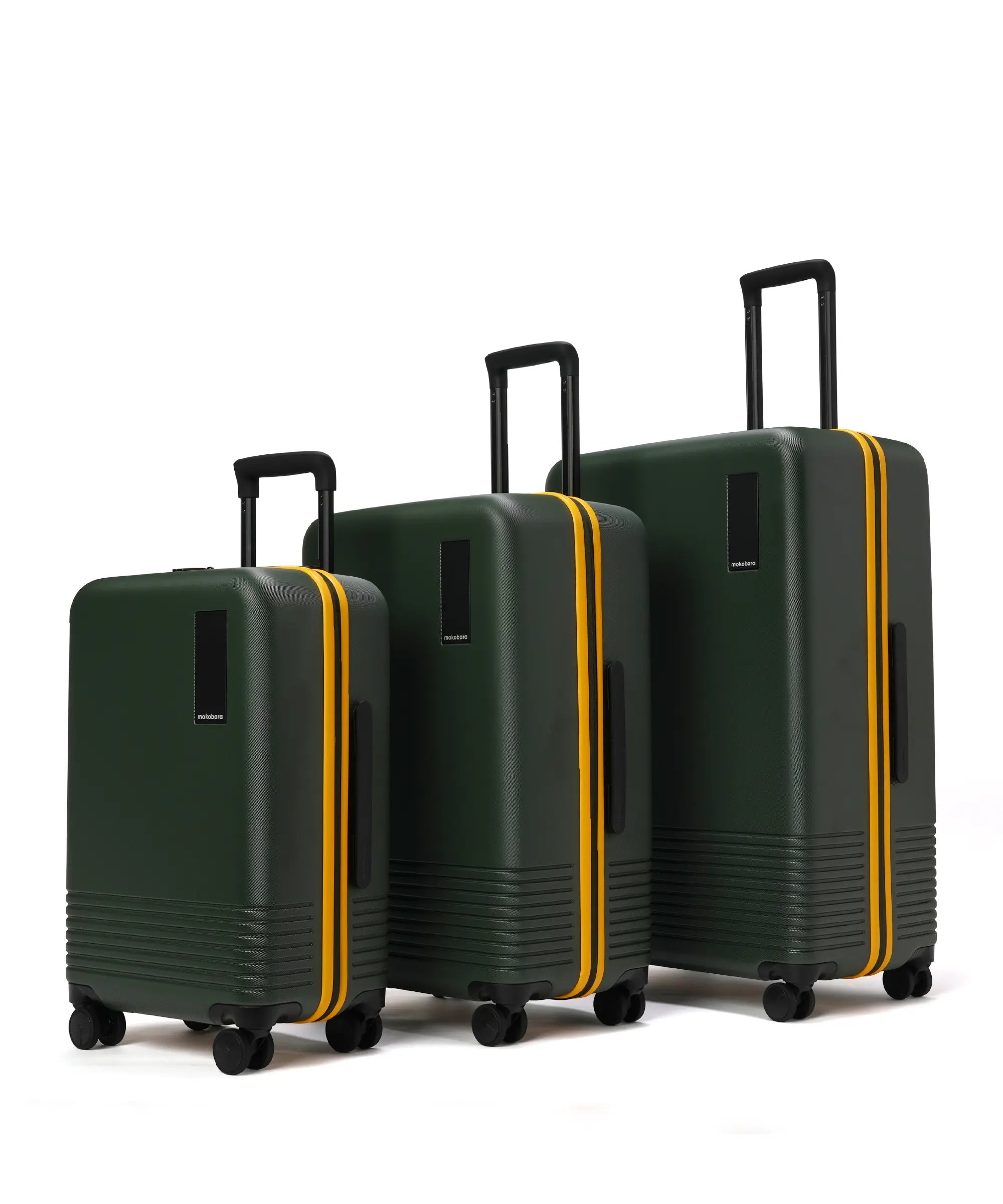 Color_Forest Sunray | The Set of 3 Luggage