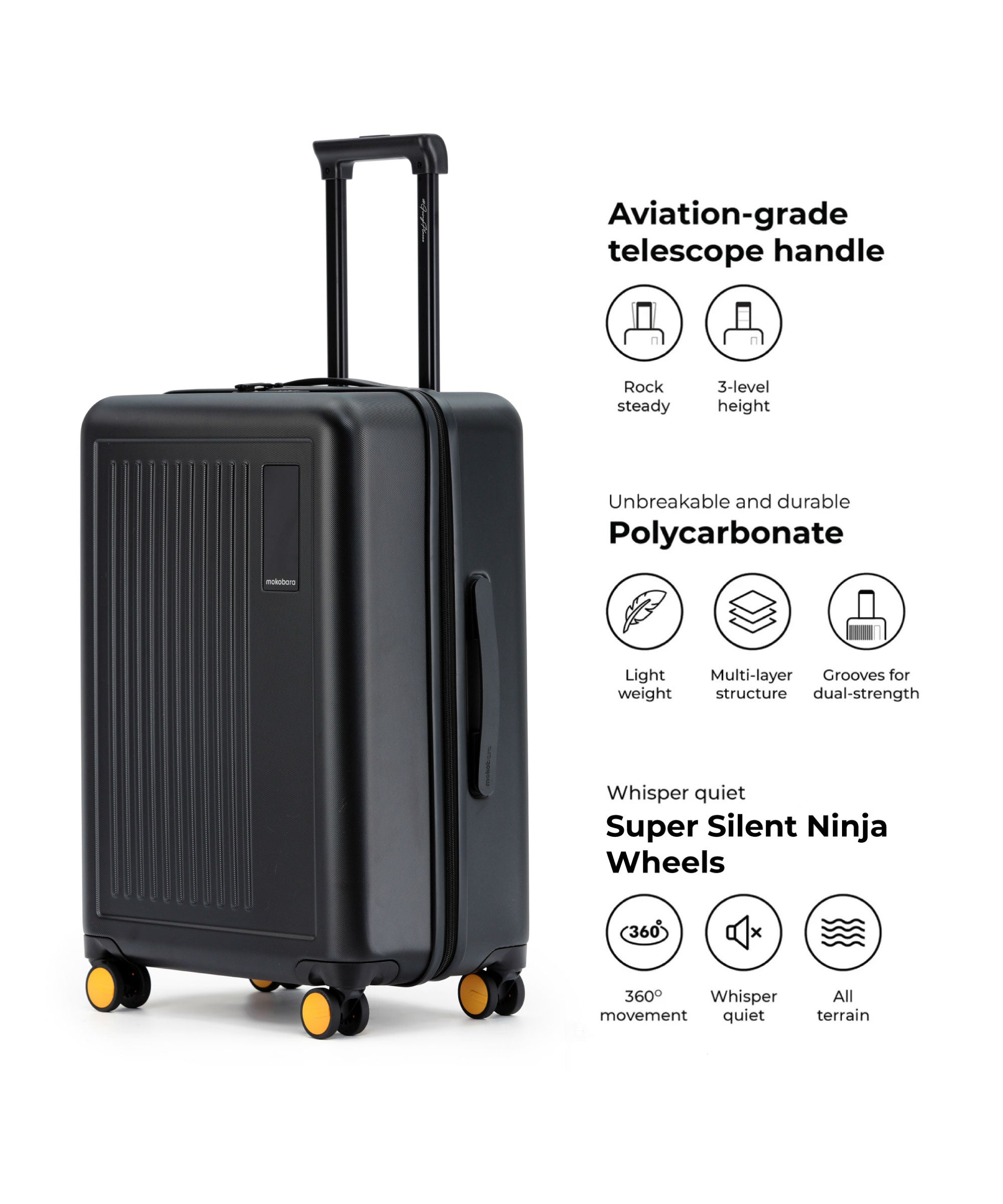 Color_Crypto 2.0 | The Transit Luggage - Set of 3