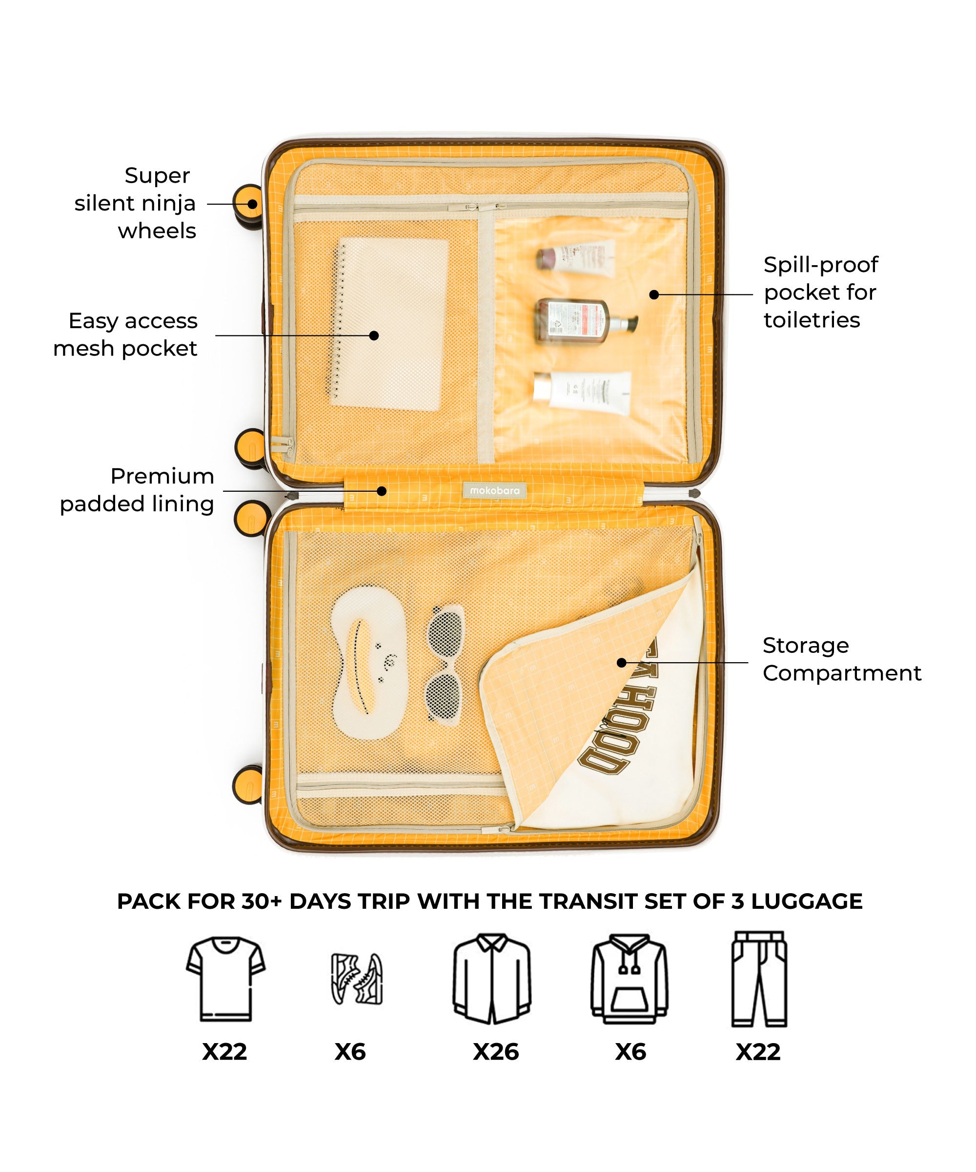 Color_ Still Loading Brownray 2.0 | The Transit Luggage - Set of 3