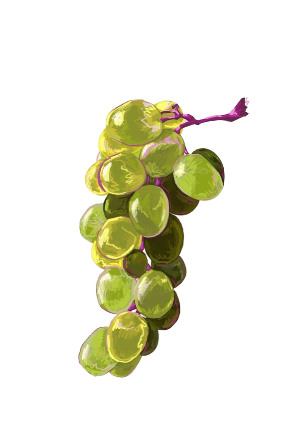 grapes 2