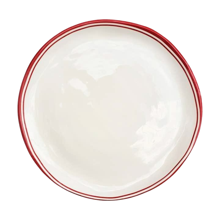 plate 1