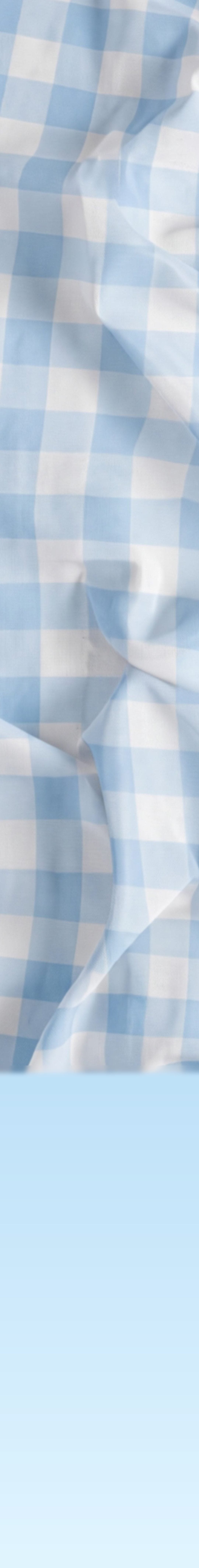 bg gingham
