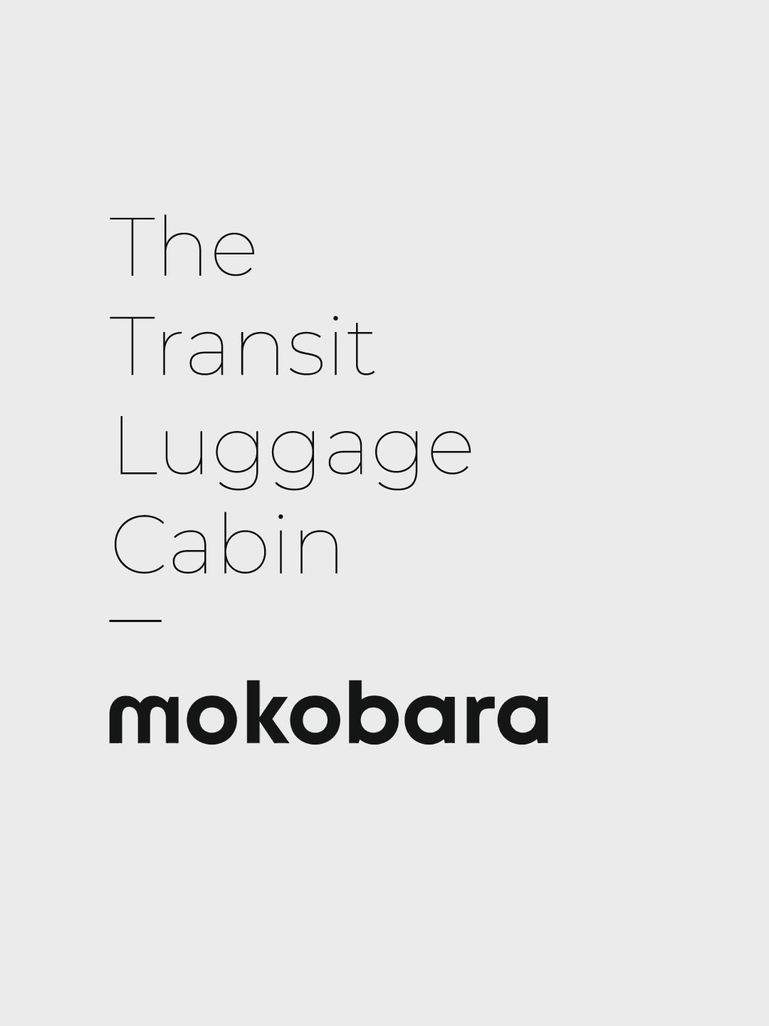 Color_We meet Again Sunray 2.0 | The Transit Luggage - Cabin
