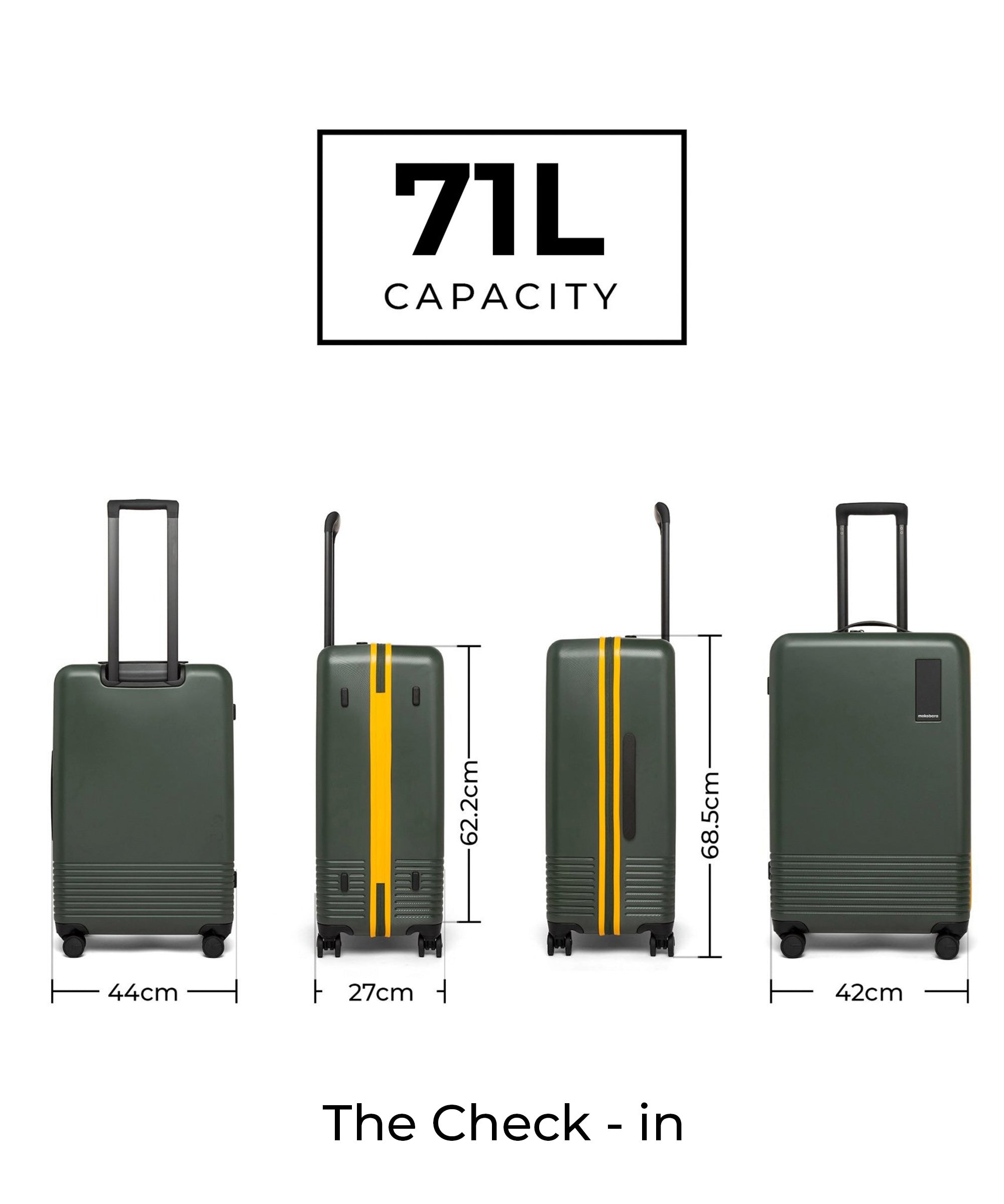 Color_Forest Sunray (Limited Edition) | Set of Two Luggage