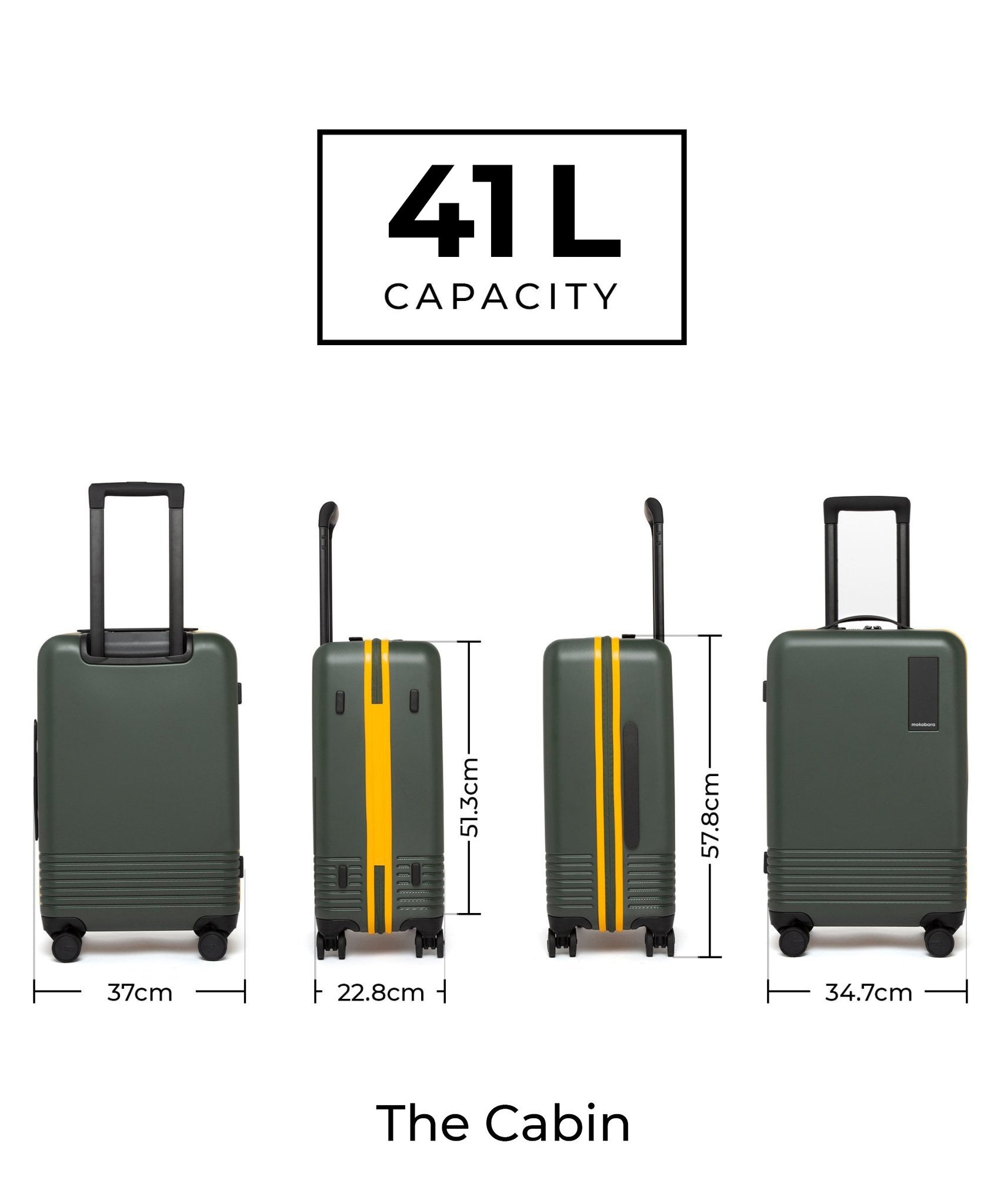 Color_Forest Sunray (Limited Edition) | Set of Two Luggage