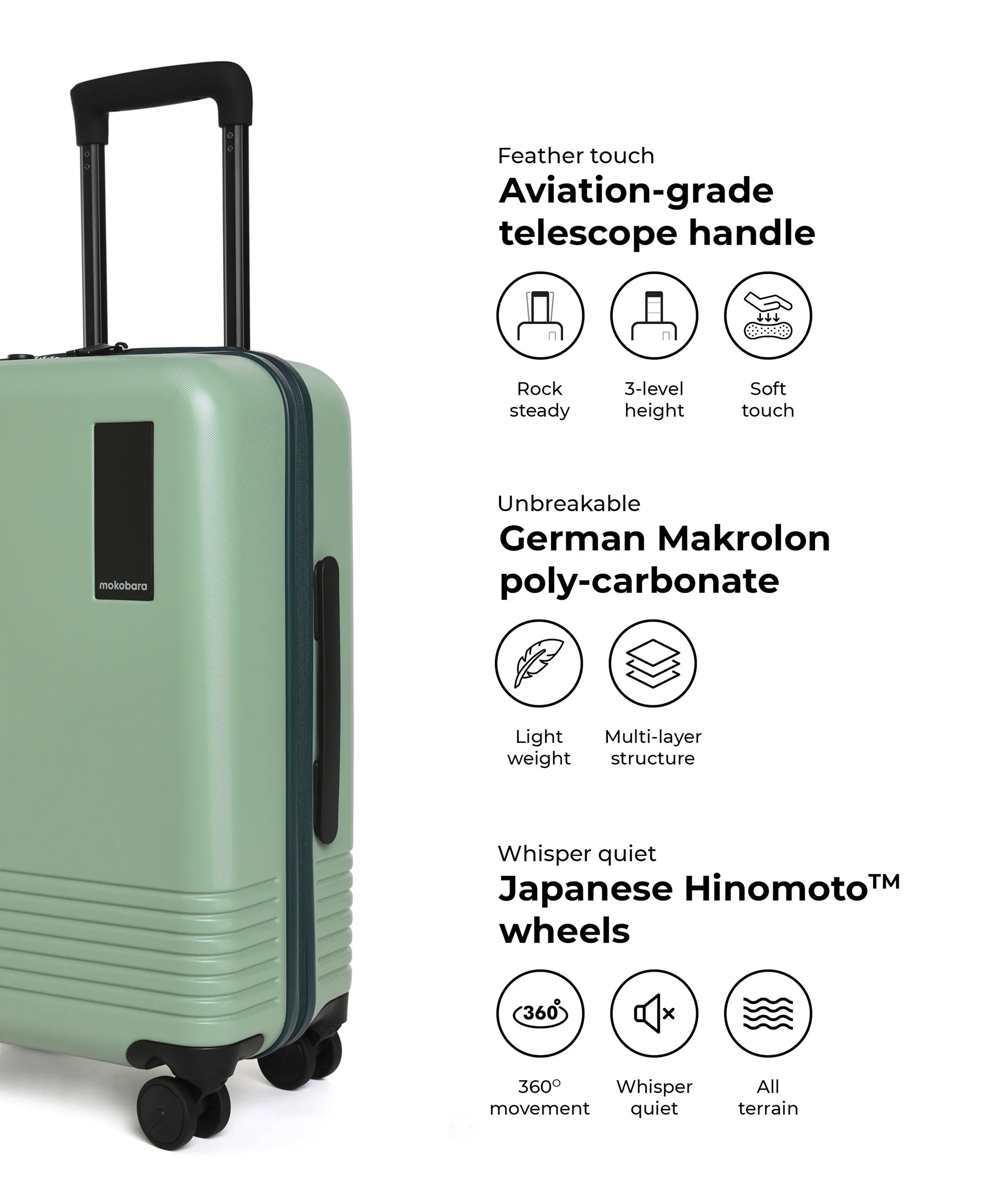 Color_Timeless Greenray (Limited Edition) | Set of Two Luggage