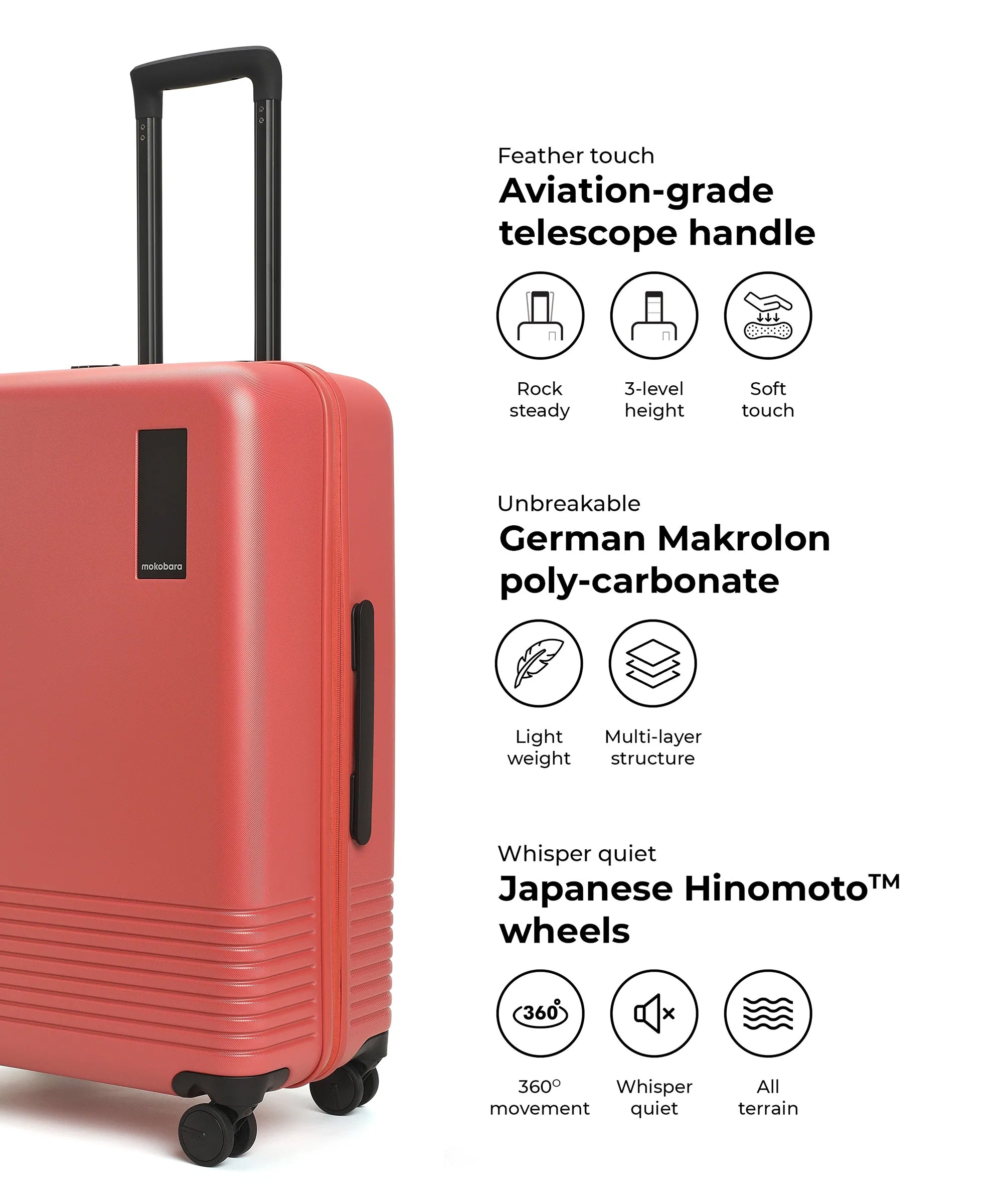 Color_New Standard (Limited Edition) | Set of Two Luggage