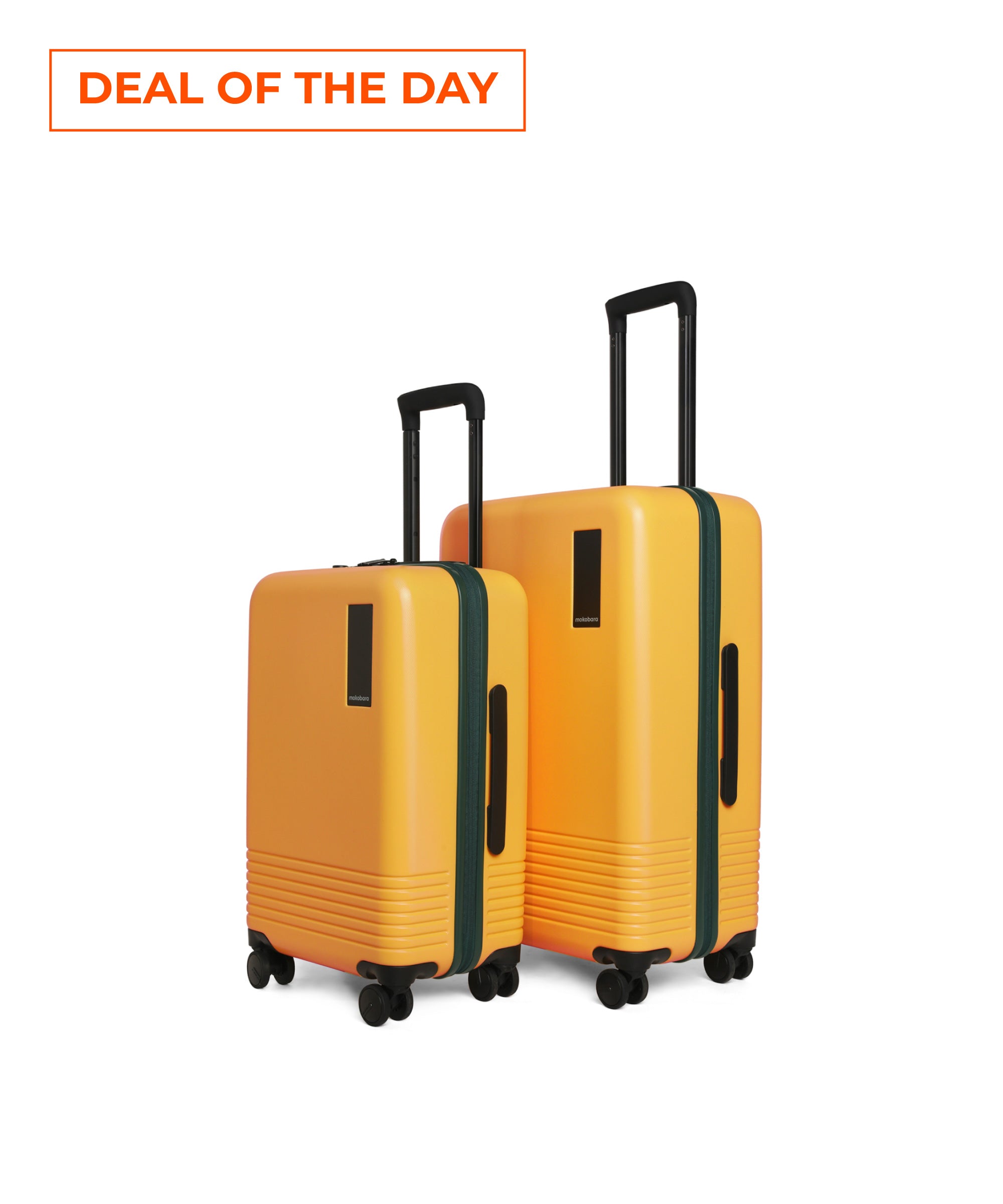 Set of 2 Luggage