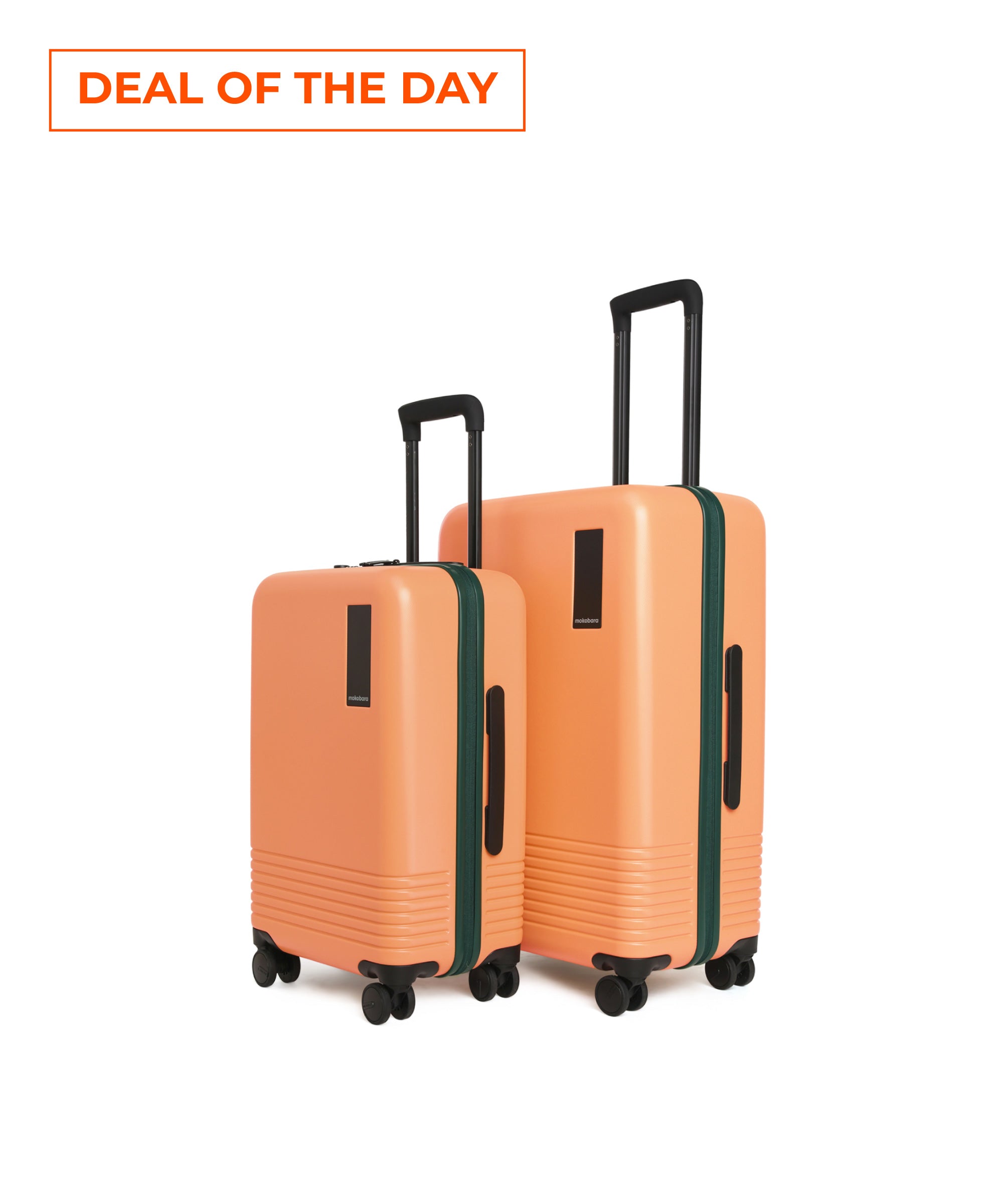 Set of 2 Luggage