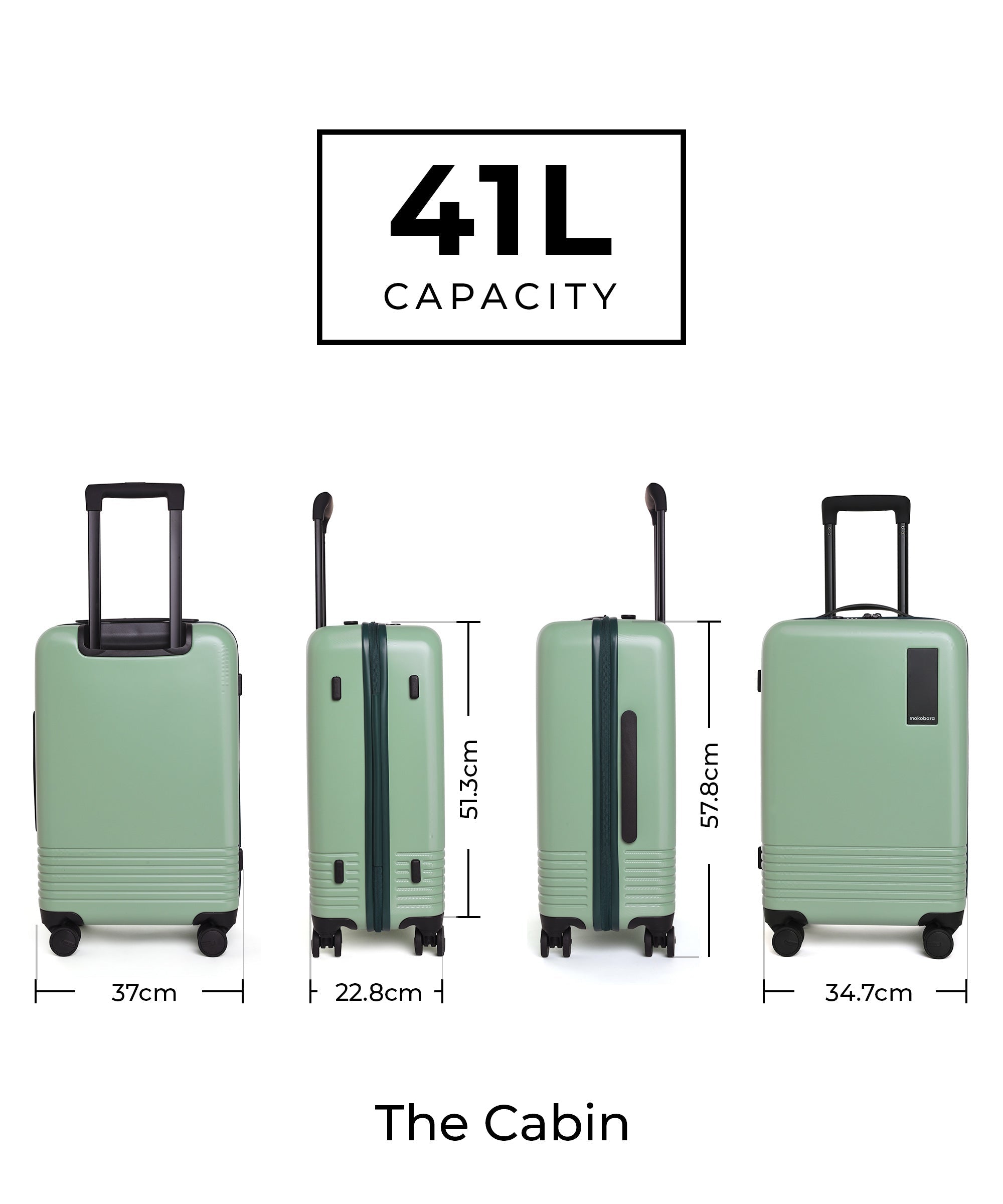 Color_Timeless Greenray (Limited Edition) | Set of Two Luggage