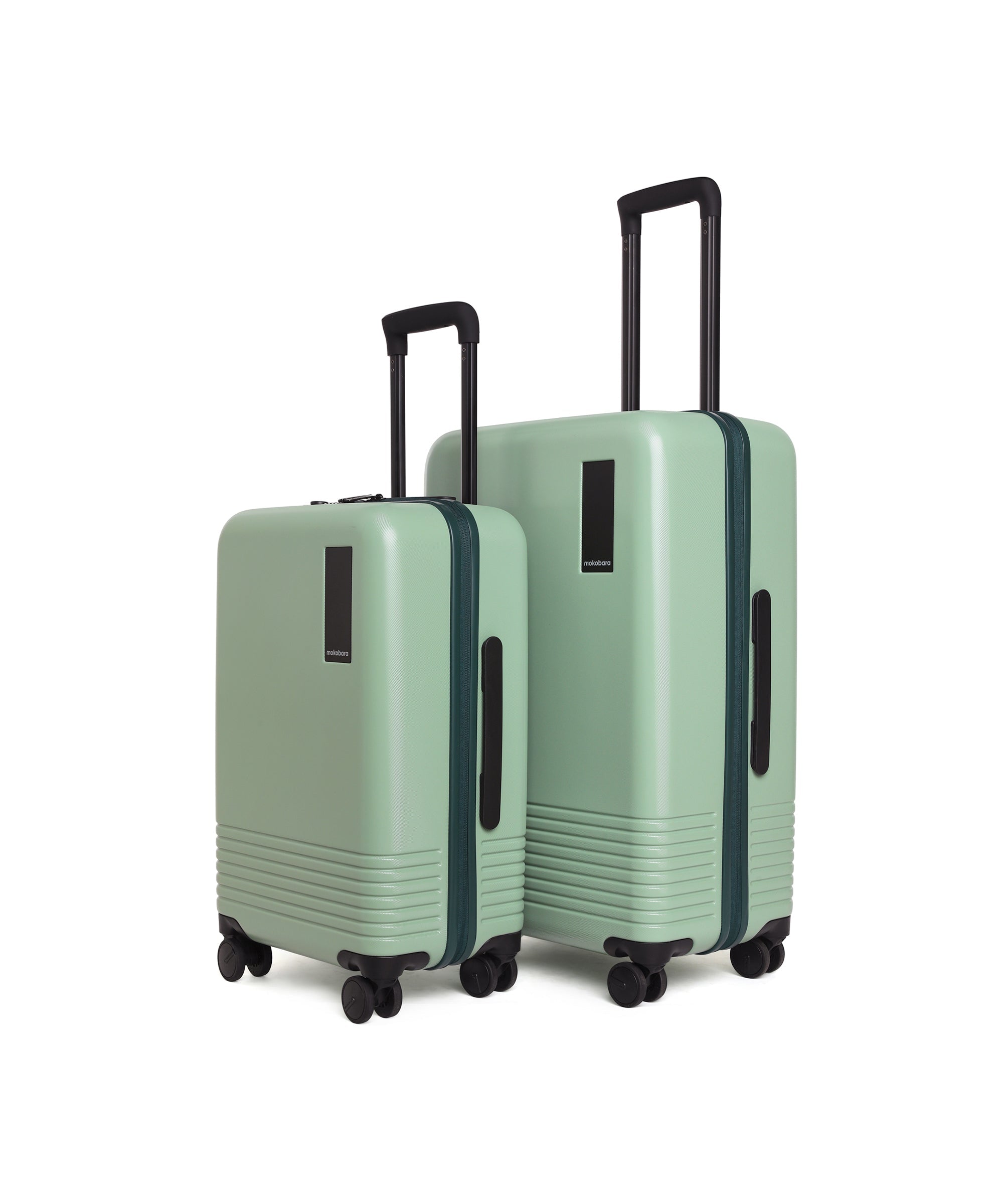 Color_Timeless Greenray (Limited Edition) | Set of Two Luggage