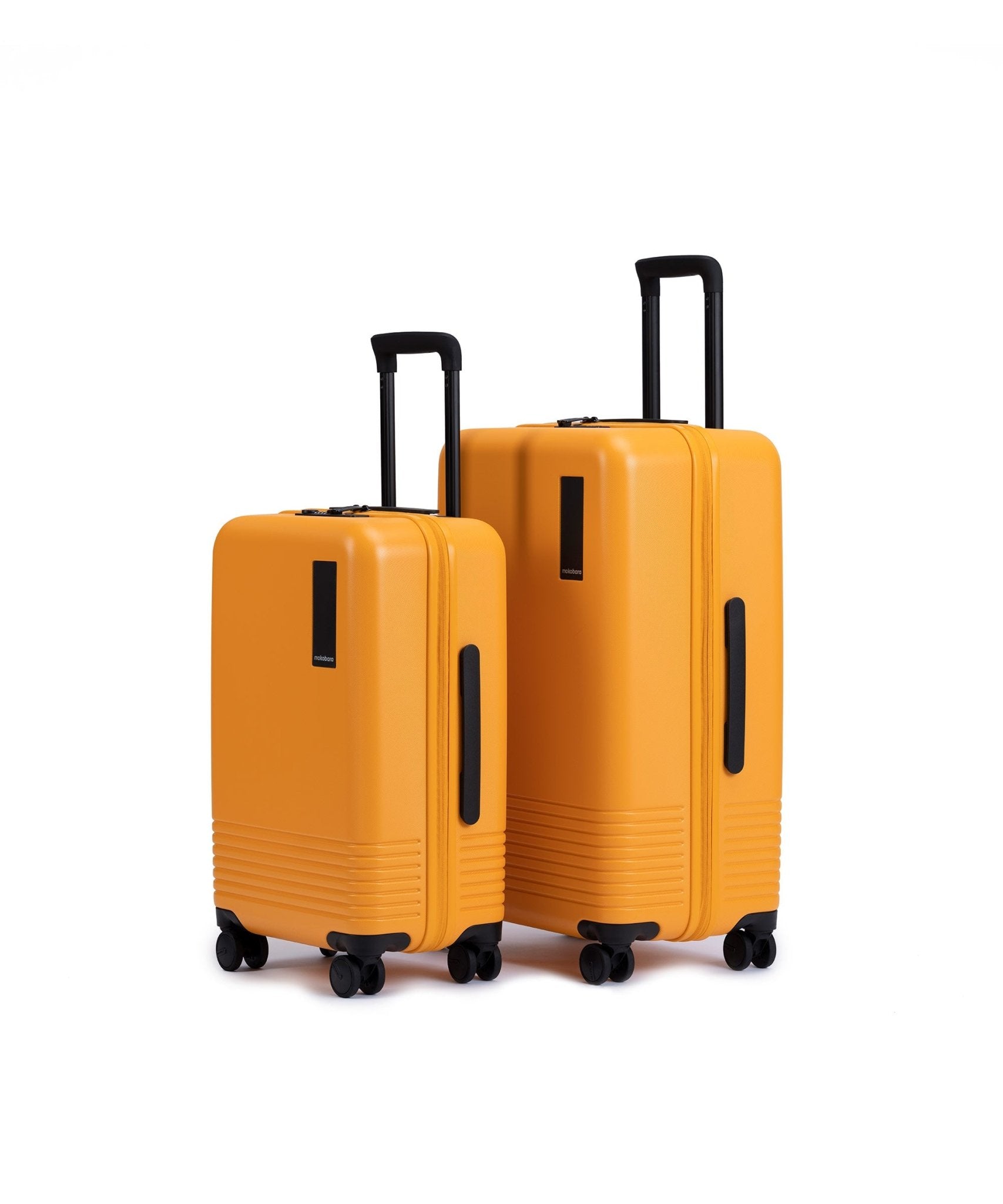 Set of 2 Luggage