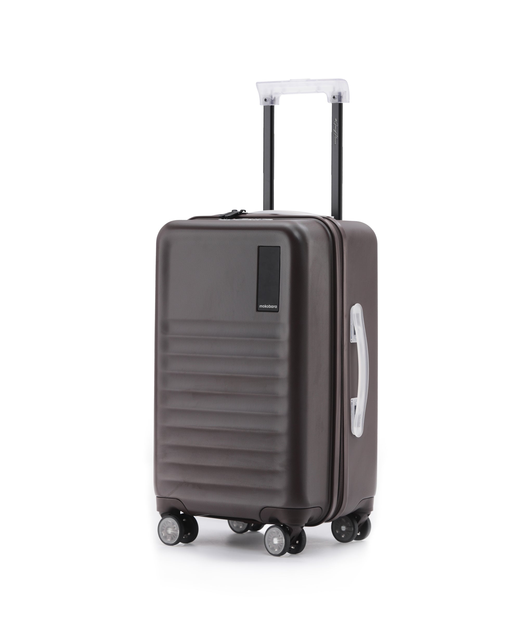 Color_Cool Beans | The Aisle Trunk - Cabin