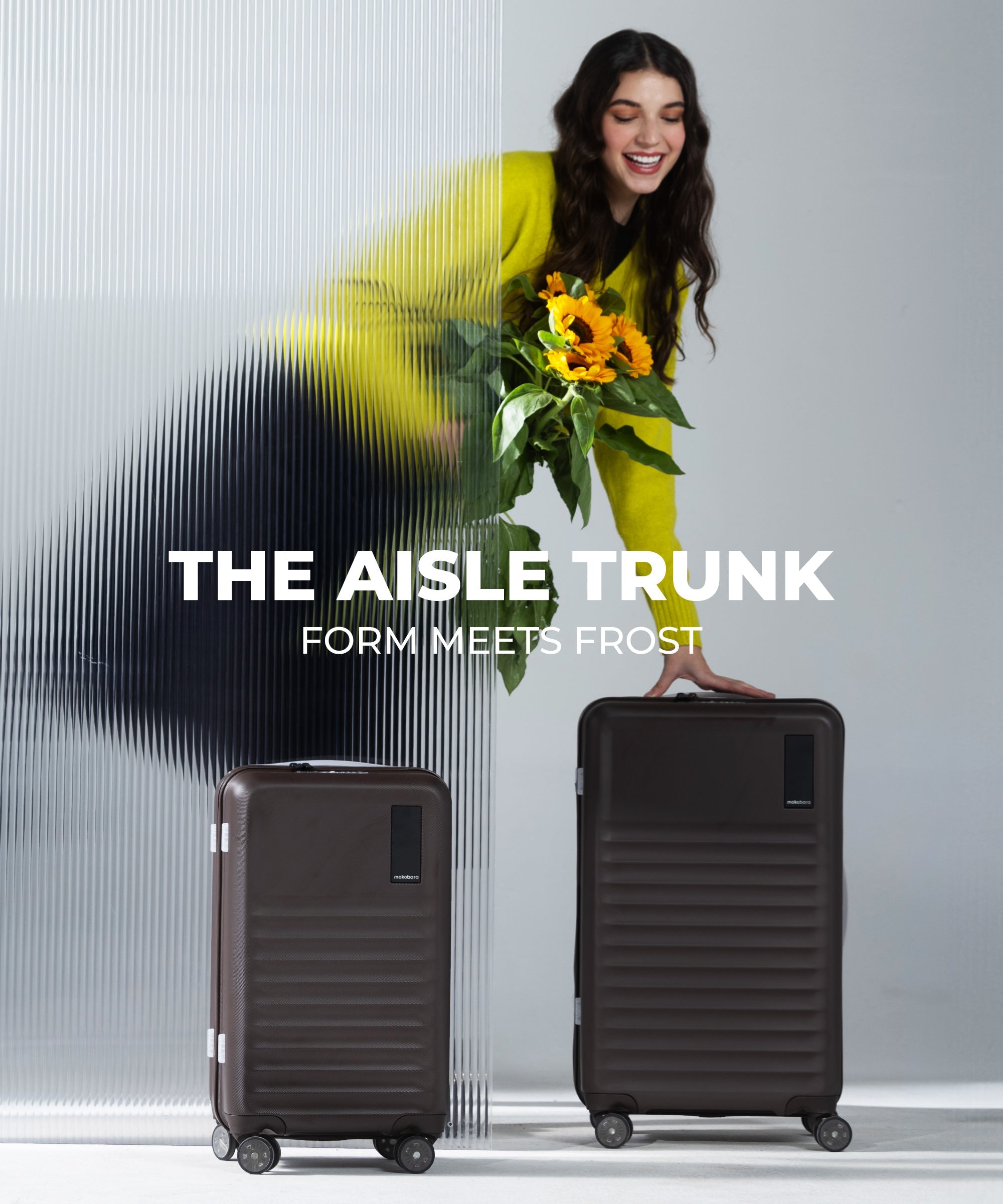 Color_Cool Beans | The Aisle Trunk set of 2 