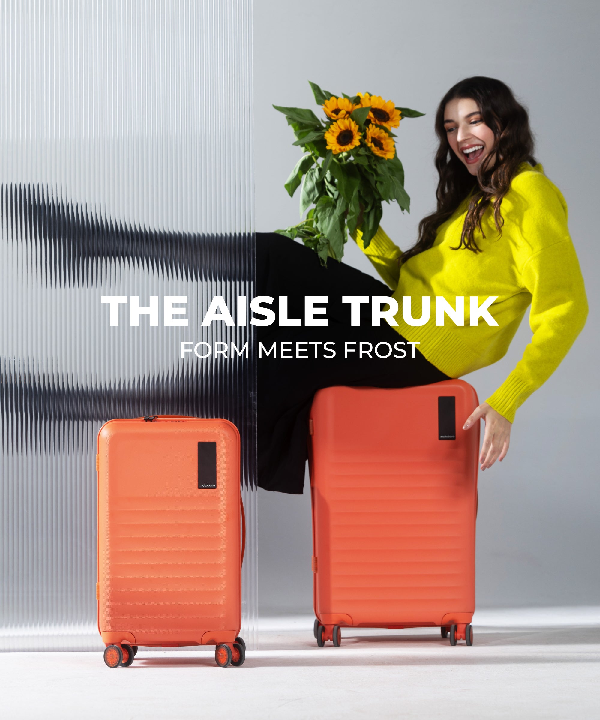 Color_Stardust | The Aisle Trunk set of 2 