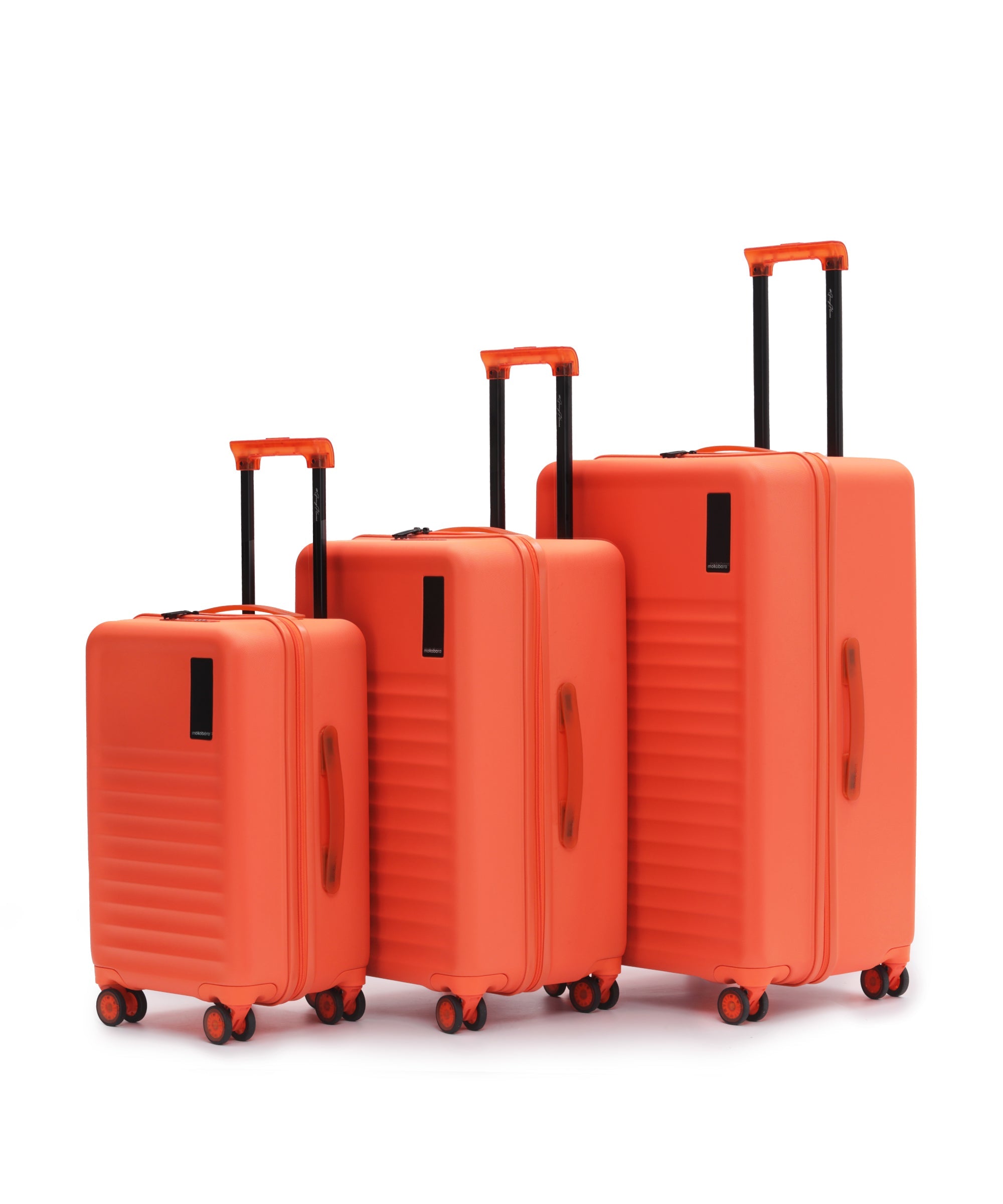 Color_Stardust | The Aisle Trunk set of 3