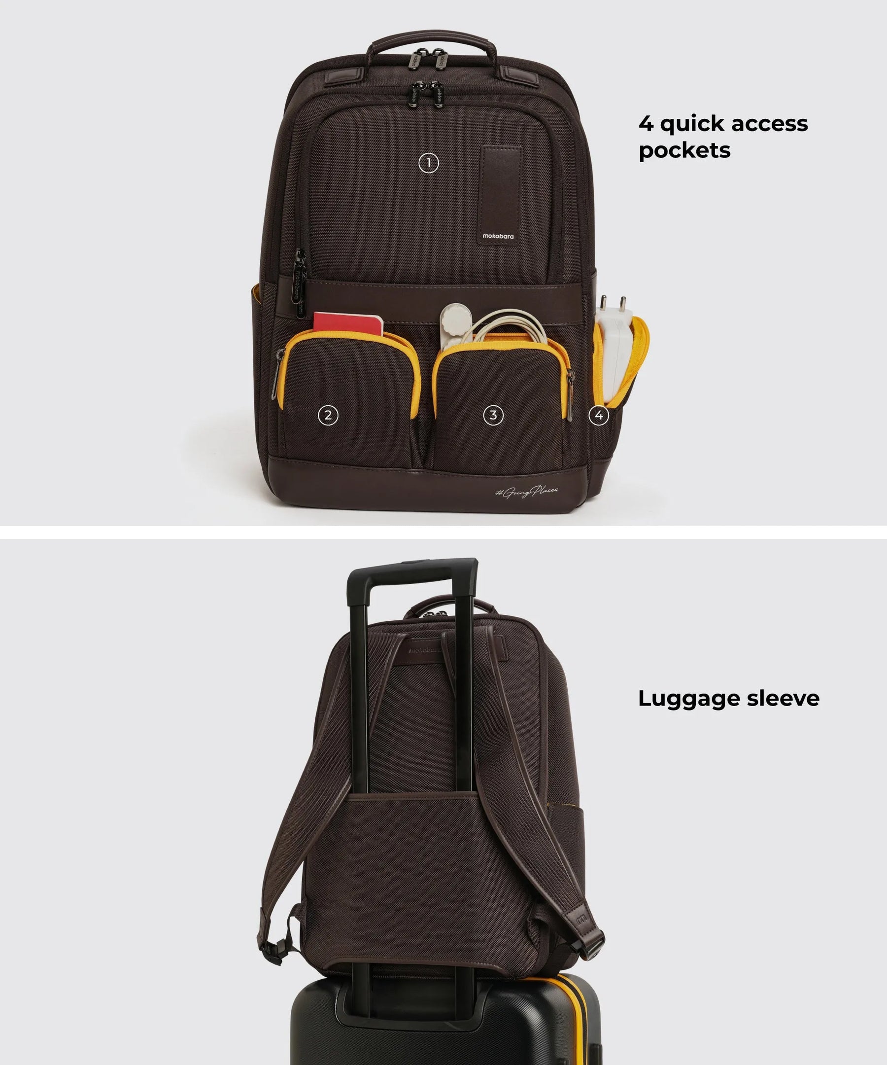 Color_ Homebrew Sunray (Limited Edition) | The Terra Work Backpack