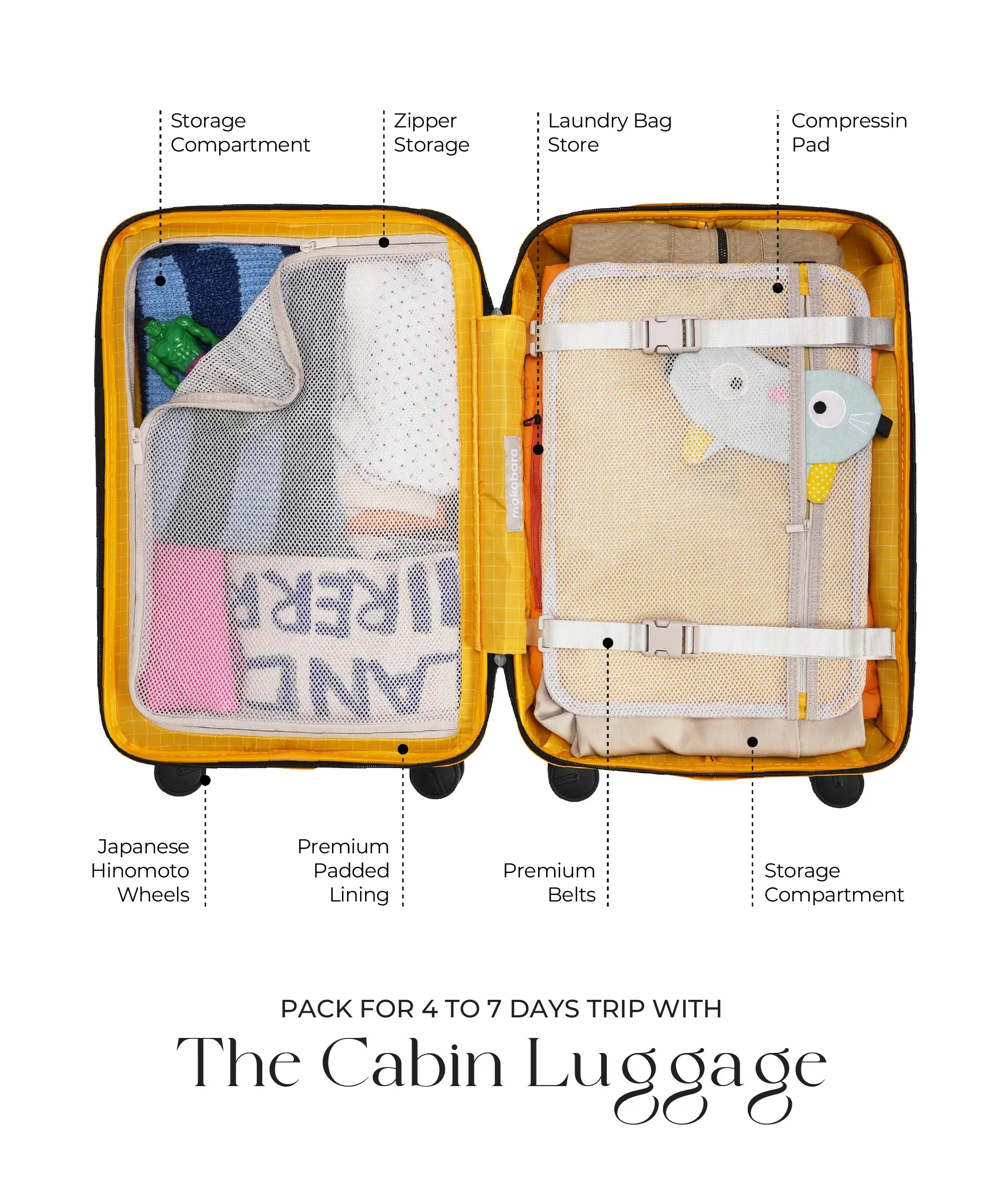 Color_Money Move | The Cabin Luggage