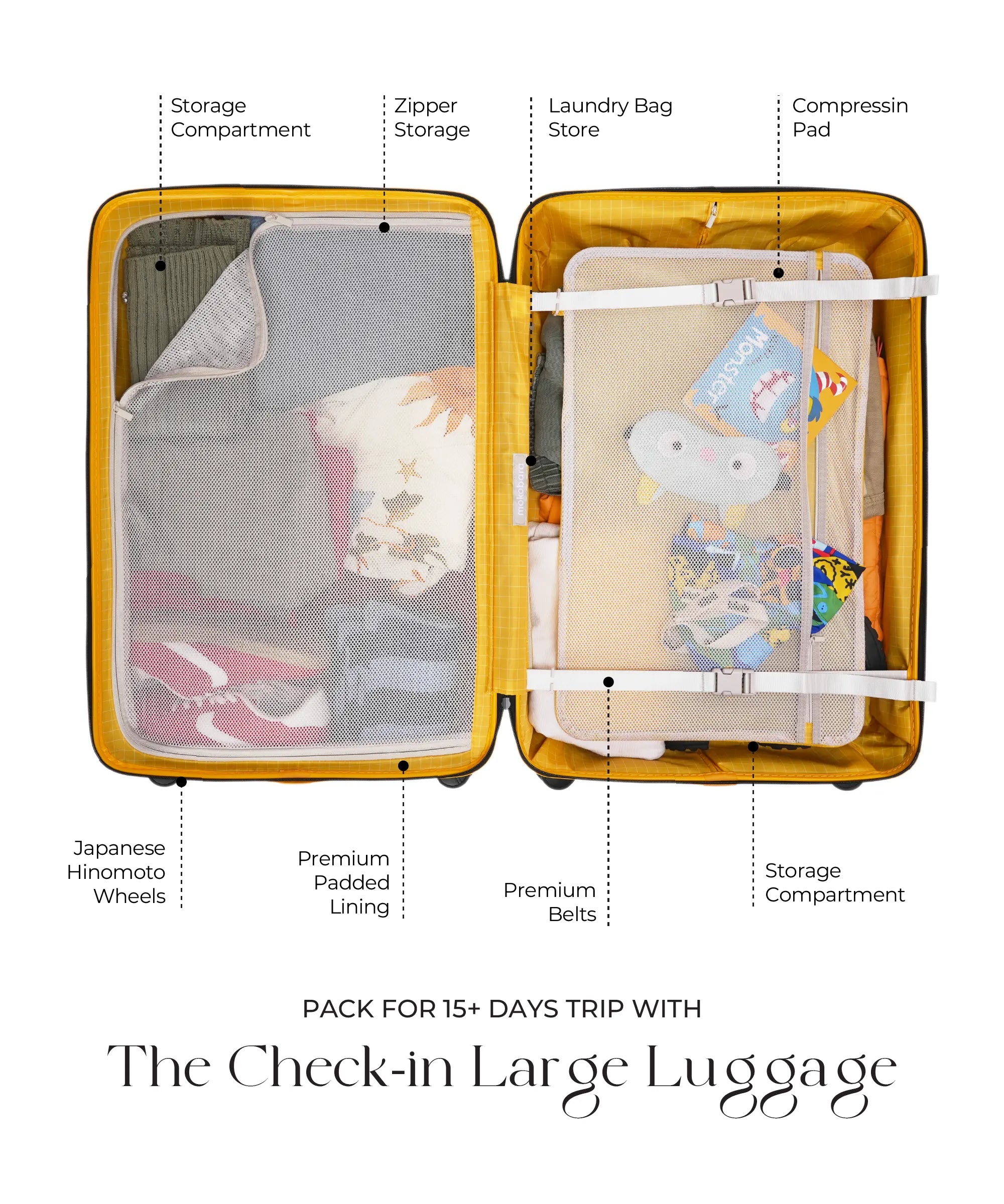 Color_Ocean Sunray | The Check-in Large