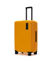 The Check-in Luggage