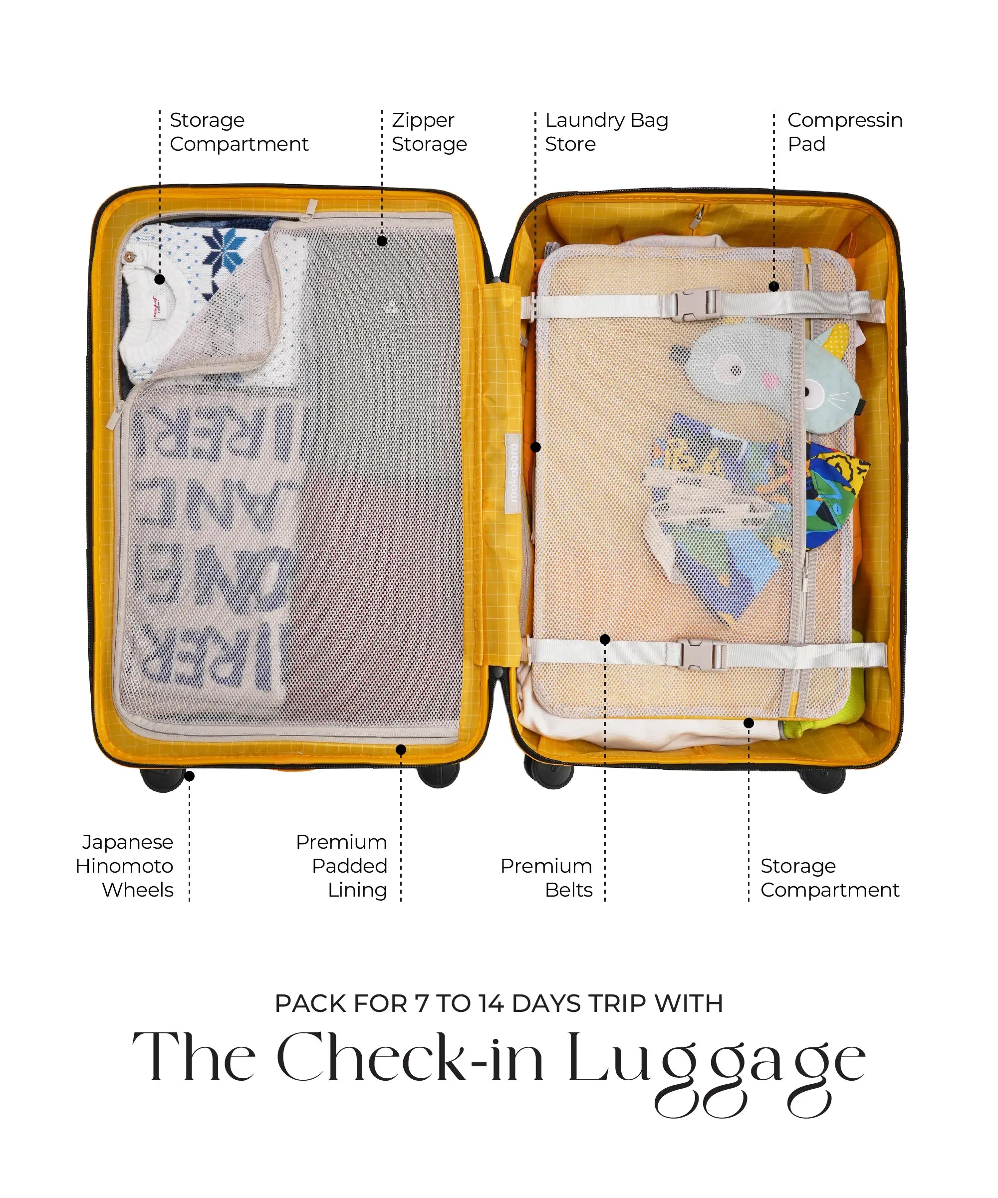 Color_Crypto Sunray | The Check-in Luggage