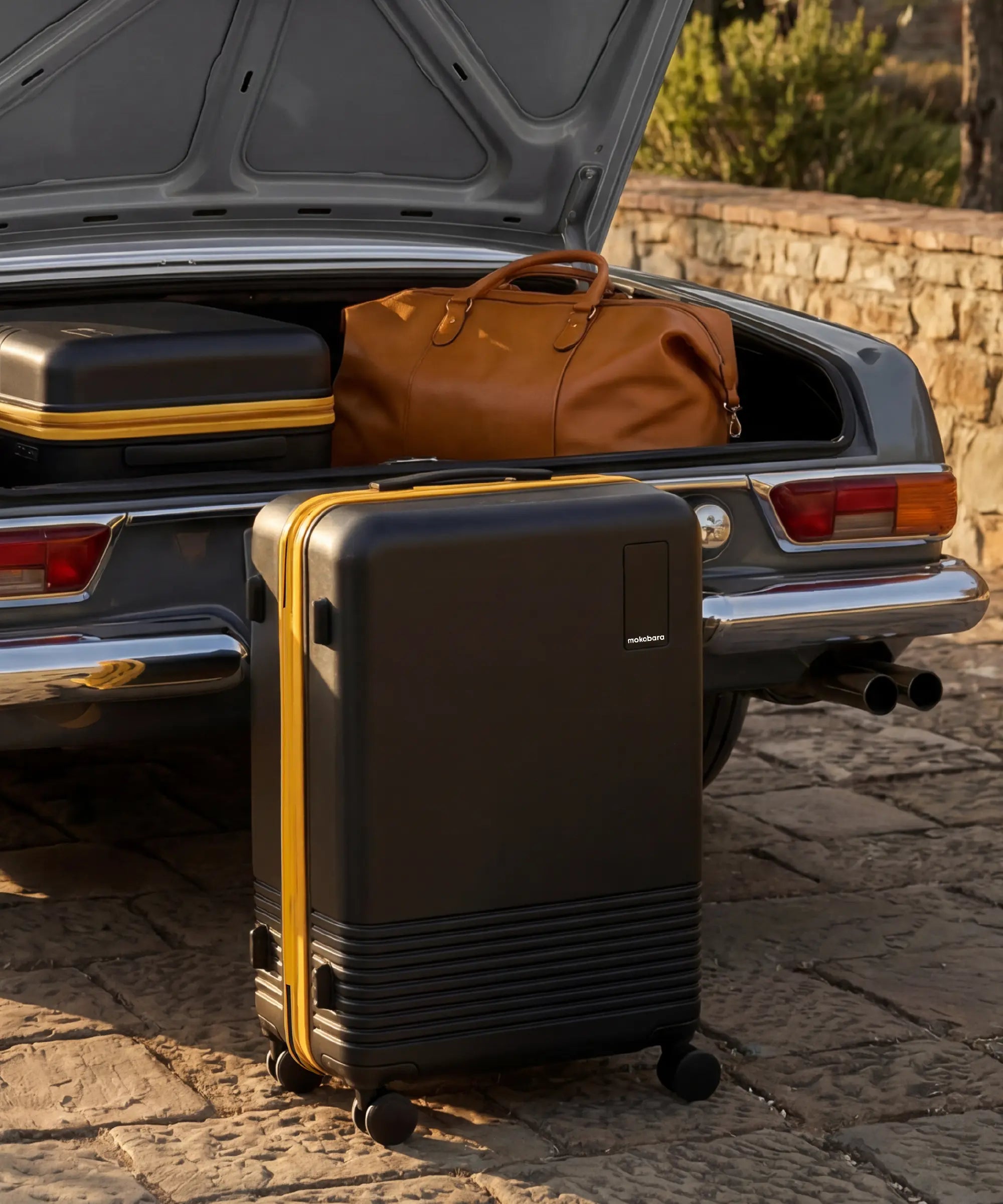 Color_Crypto Sunray | The Check-in Luggage