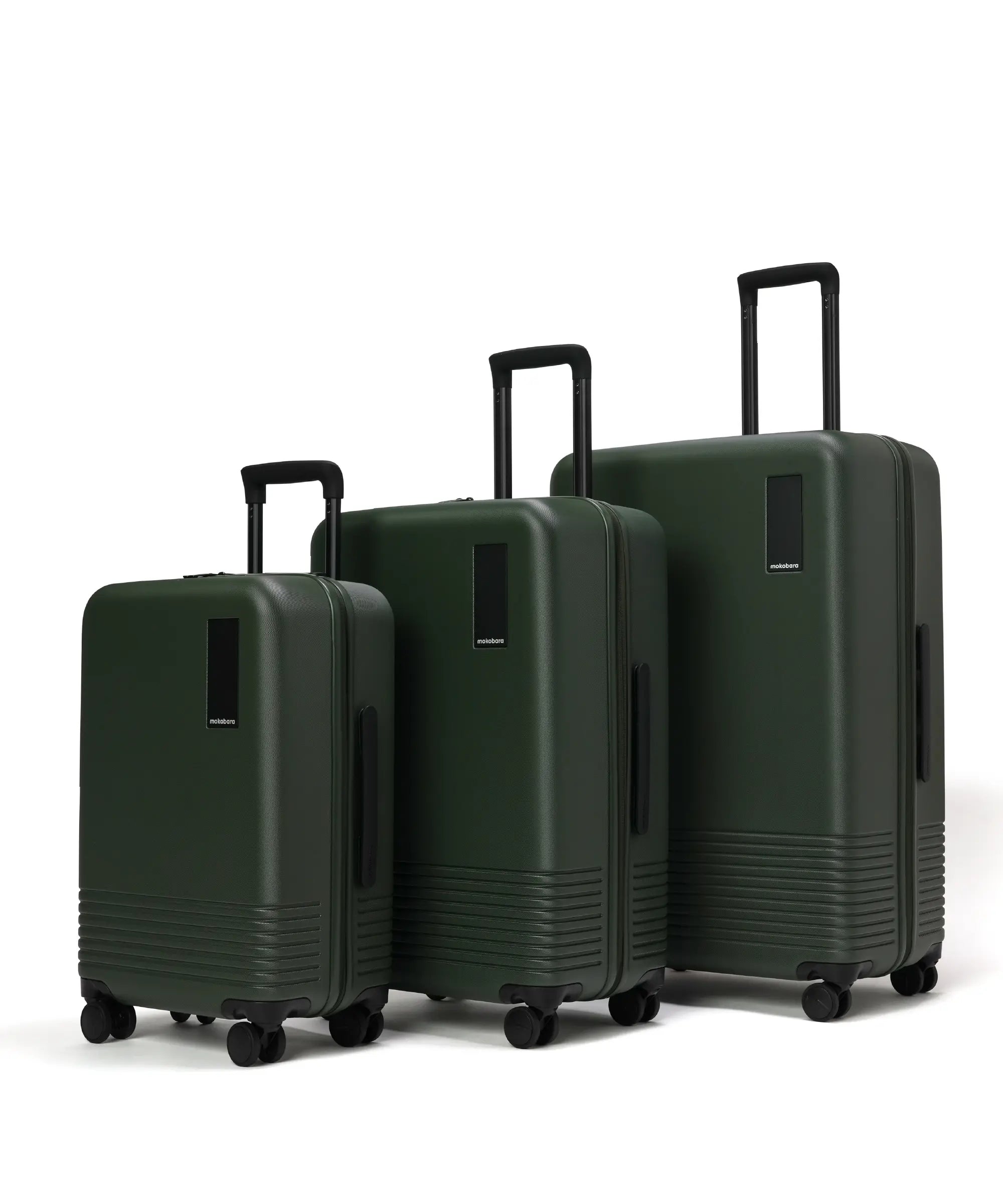 Color_seeweed  | The Set of 3 Luggagereen