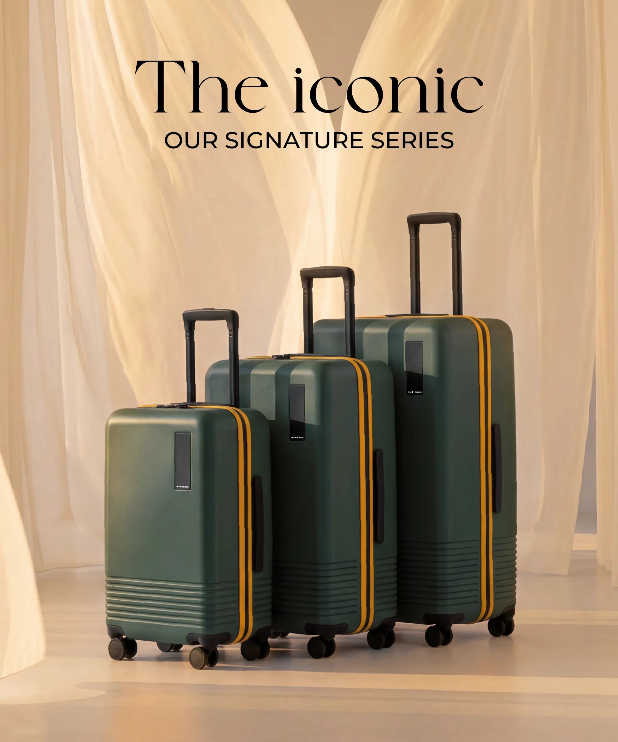 Color_Forest Sunray | The Set of 3 Luggage