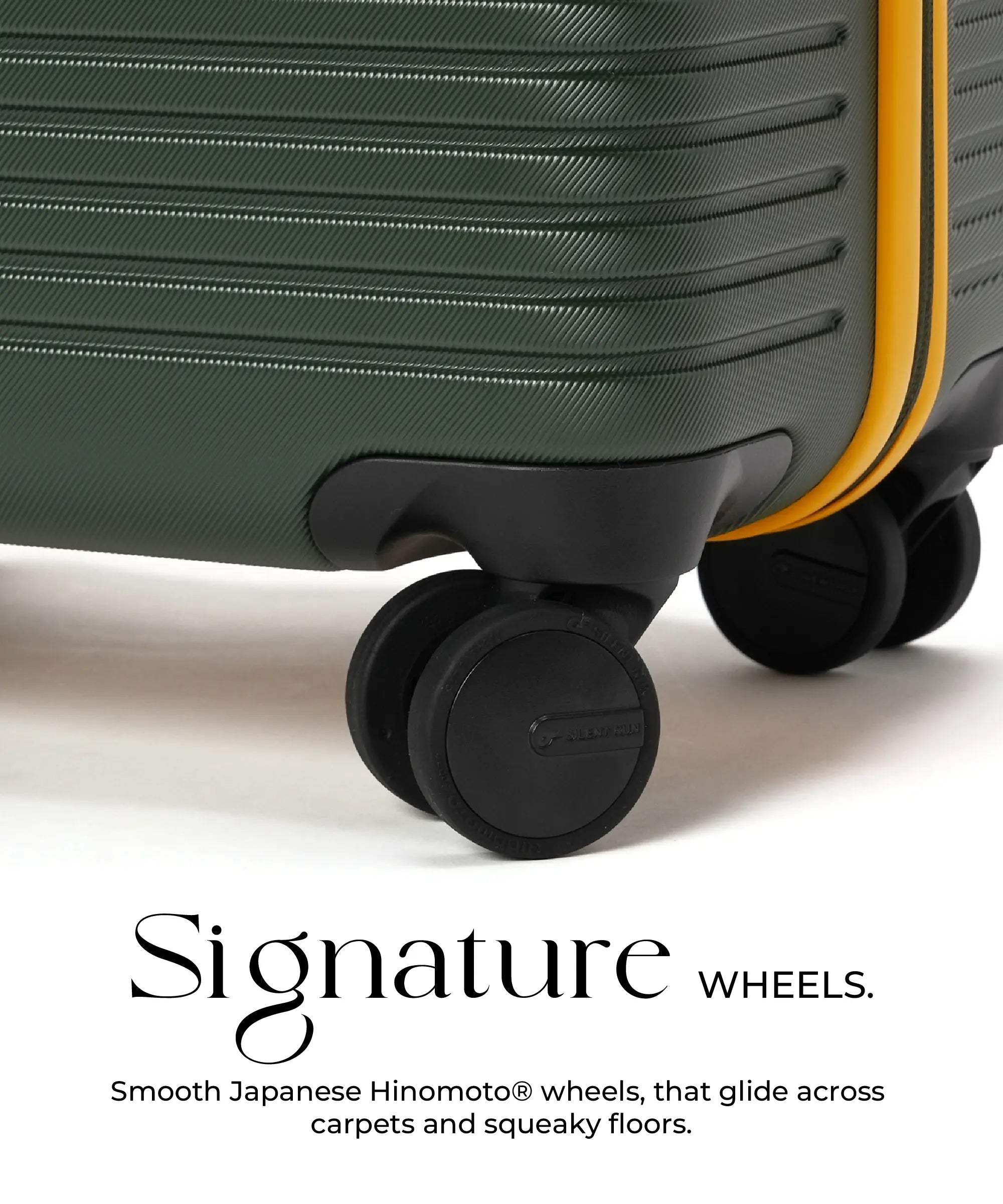 Color_Forest Sunray | The Set of 3 Luggage